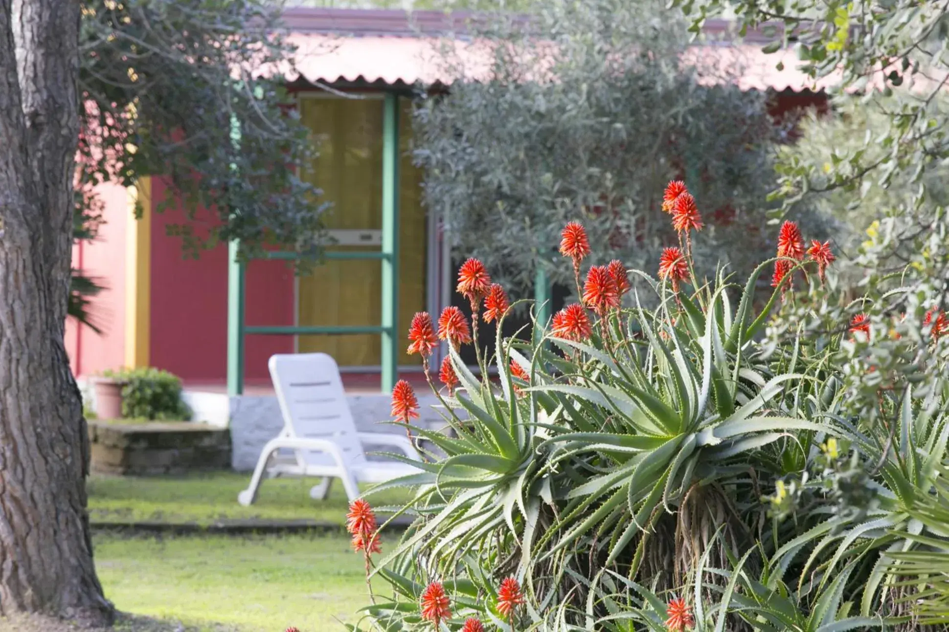 Bungalow with Patio and Garden View in Residence Sa Pintadera Bungalow with Patio and Garden View in Residence Sa Pintadera