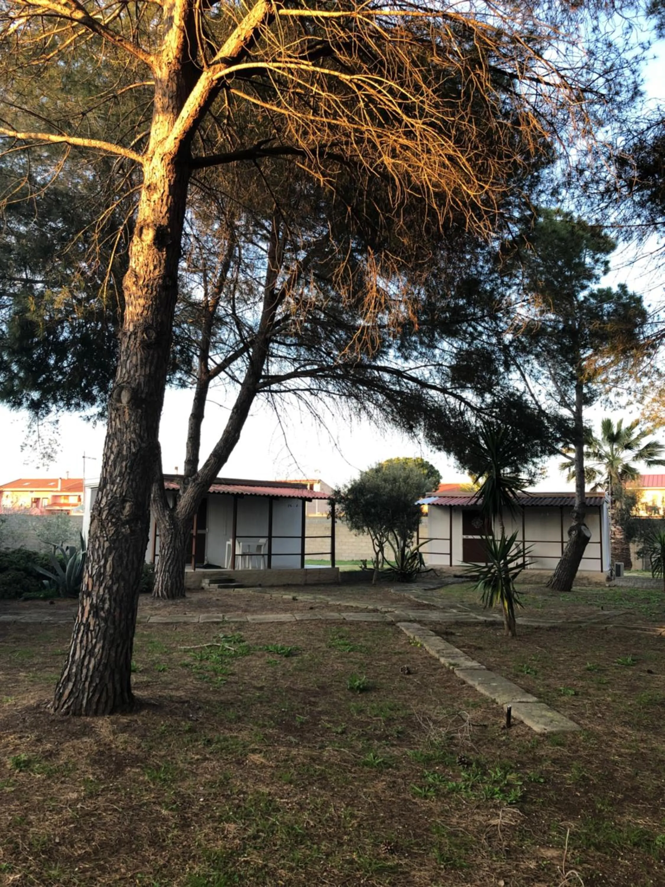 Garden in Residence Sa Pintadera