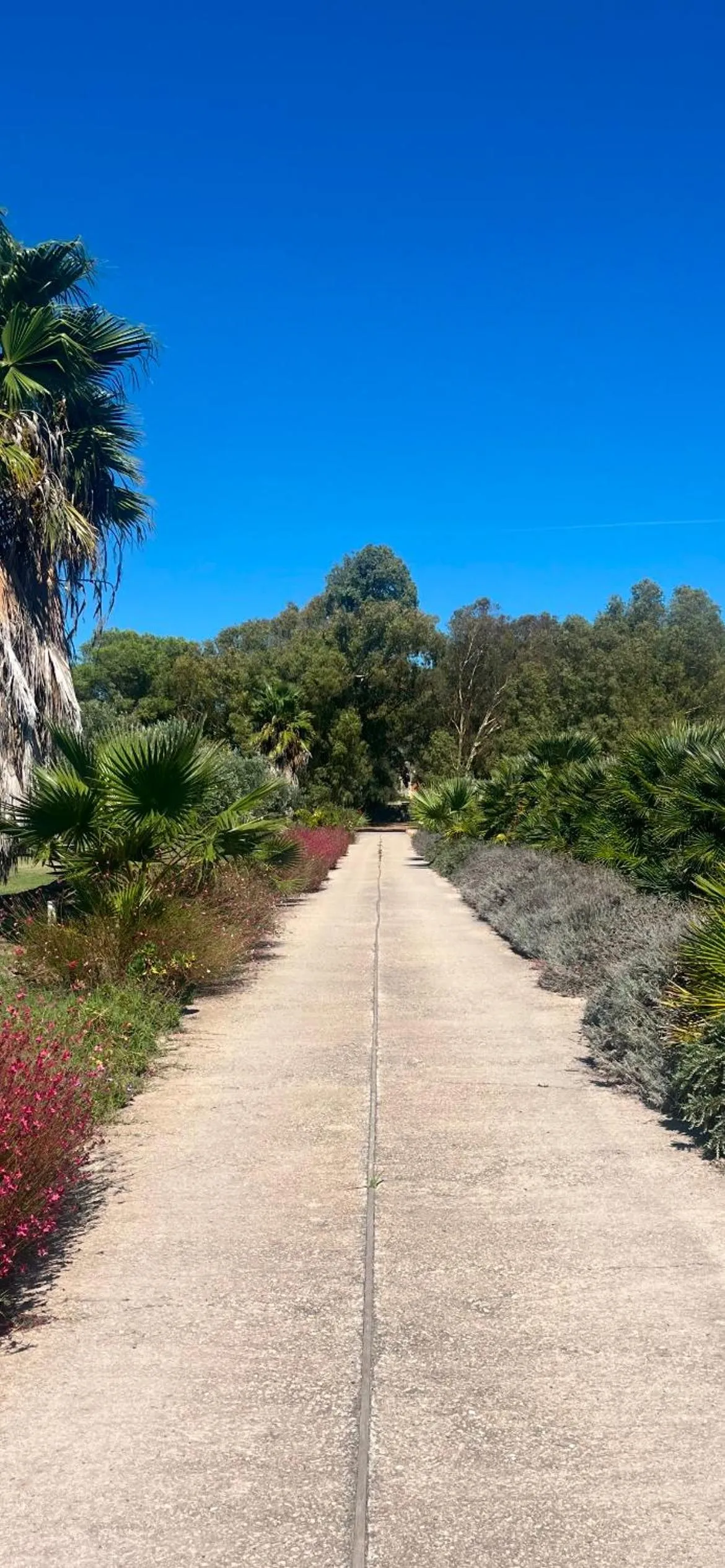 Residence Sa Pintadera