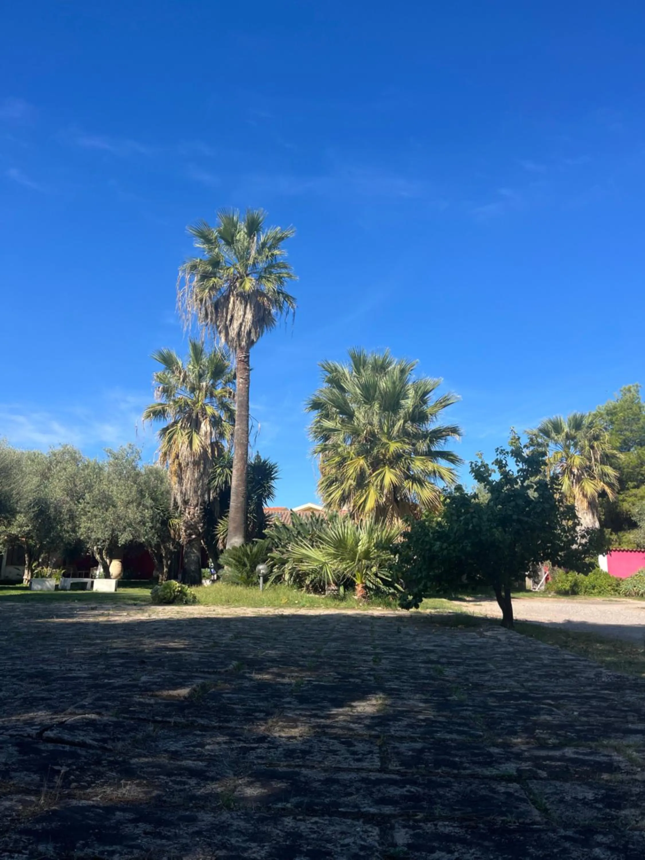 Residence Sa Pintadera