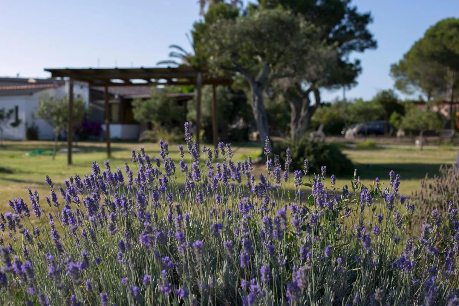 Garden in Residence Sa Pintadera