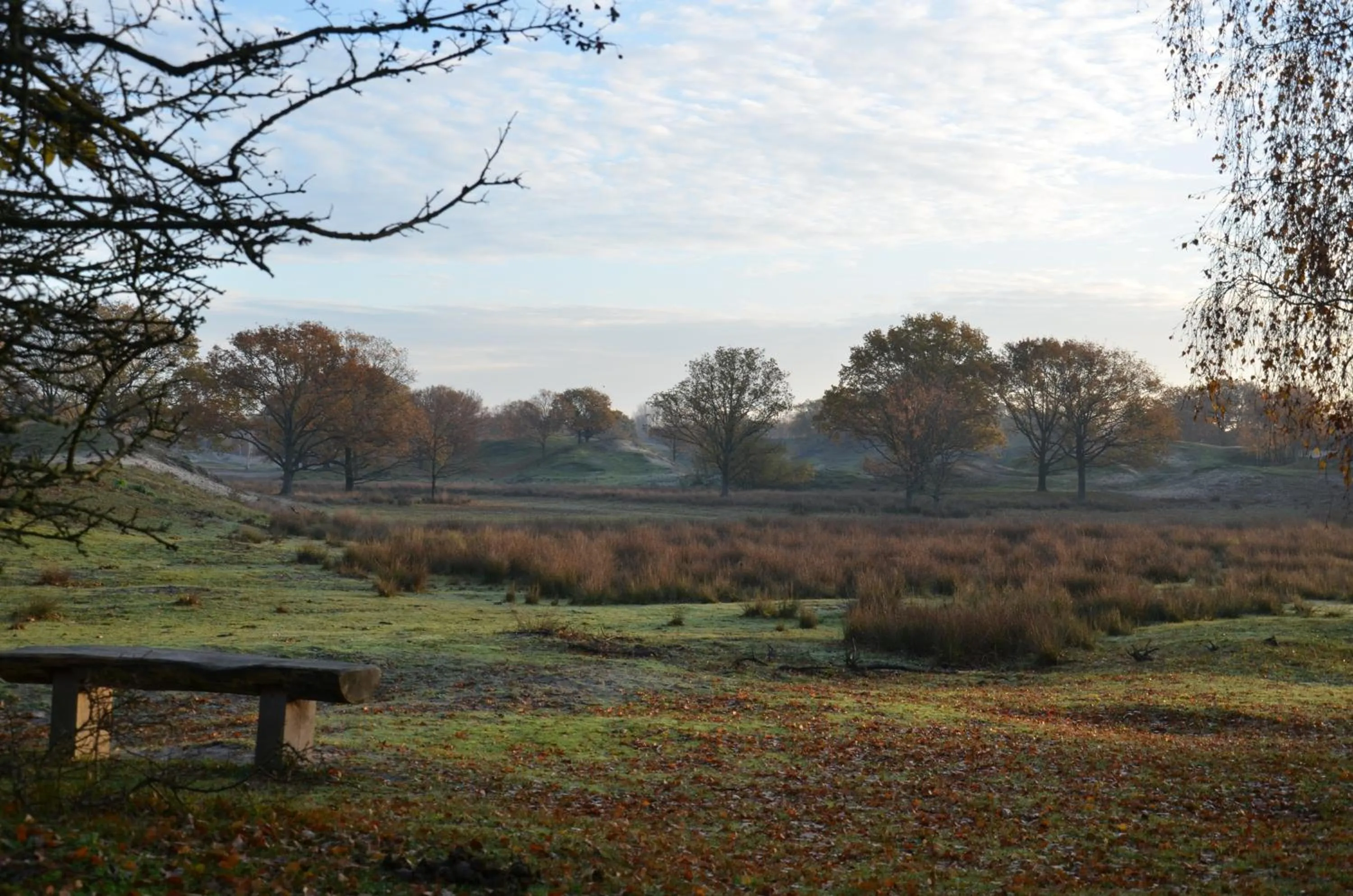 Natural landscape in B&B Onder de Molen