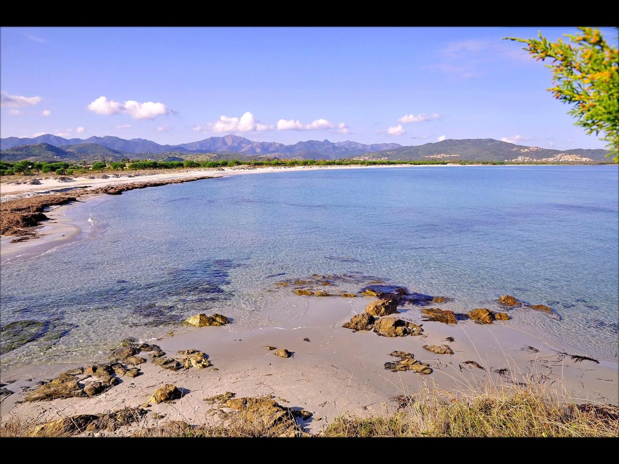 Natural landscape in Residenze Mare e Pineta