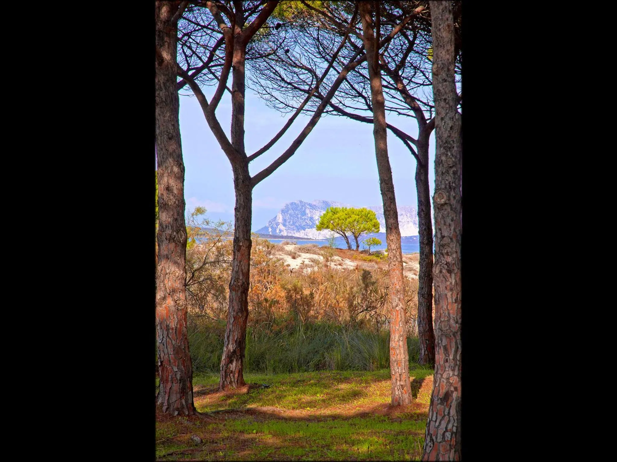 Area and facilities in Residenze Mare e Pineta