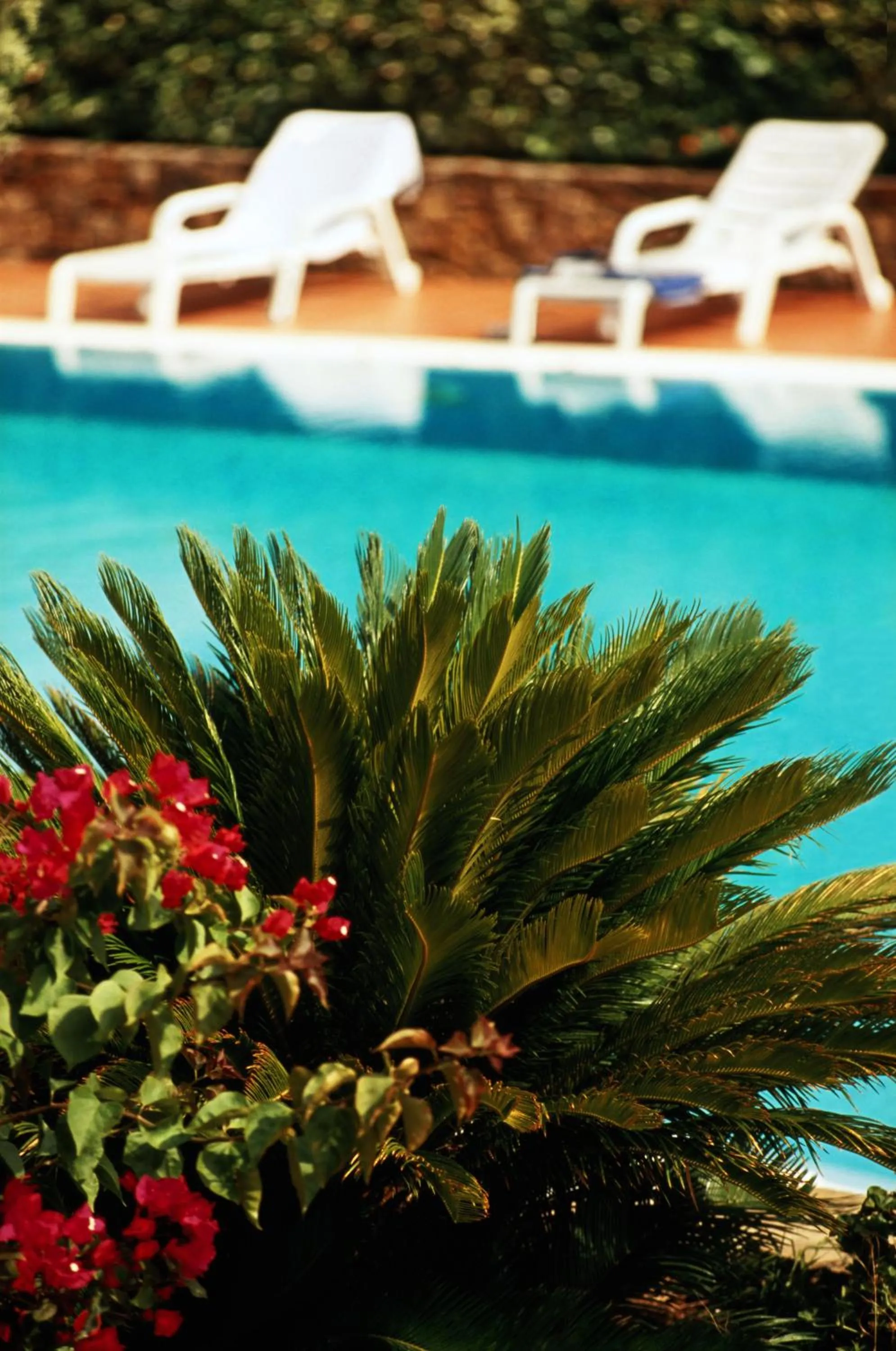 Swimming pool in Villa Dafne