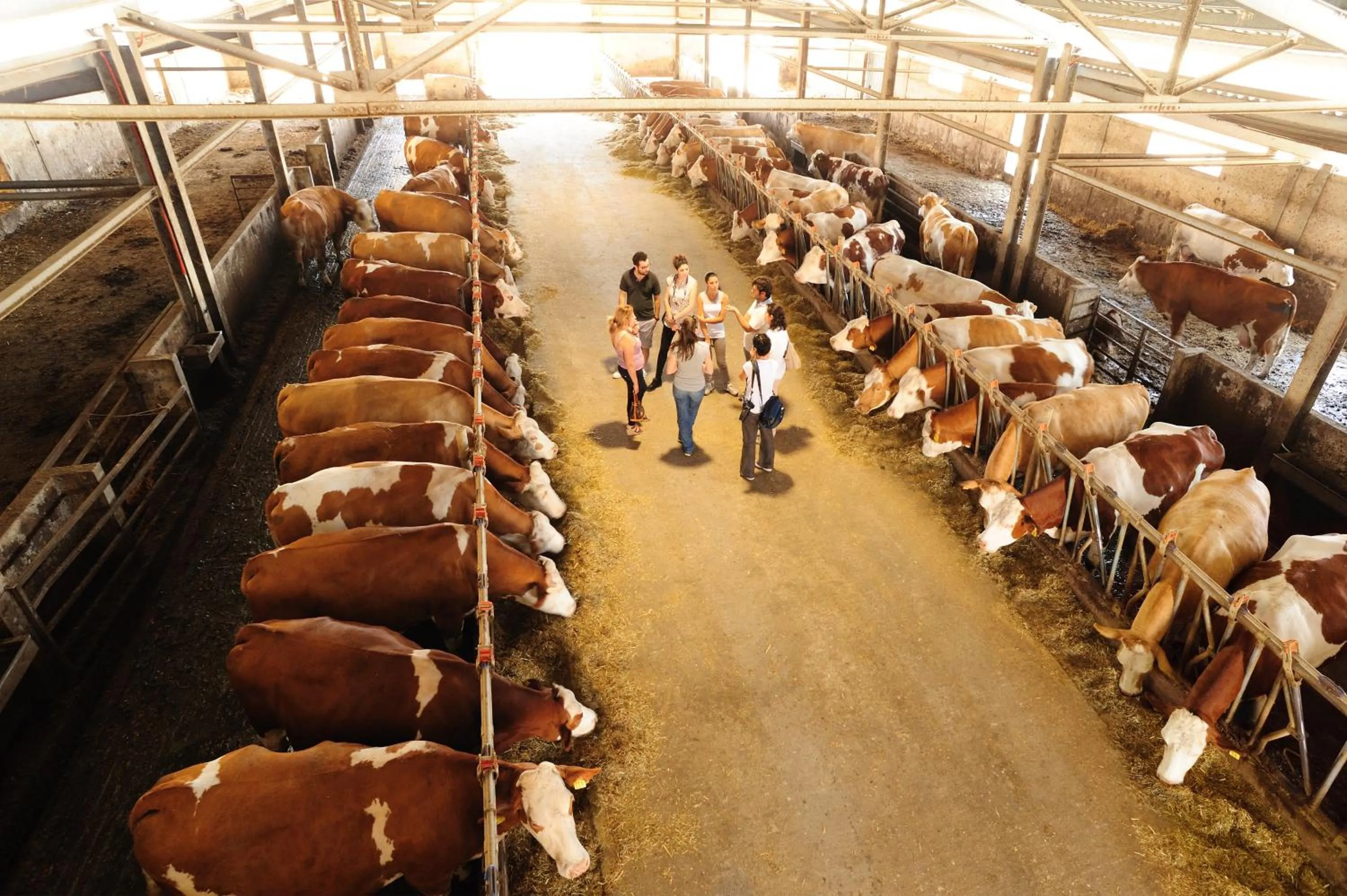 Other in Villa Dafne