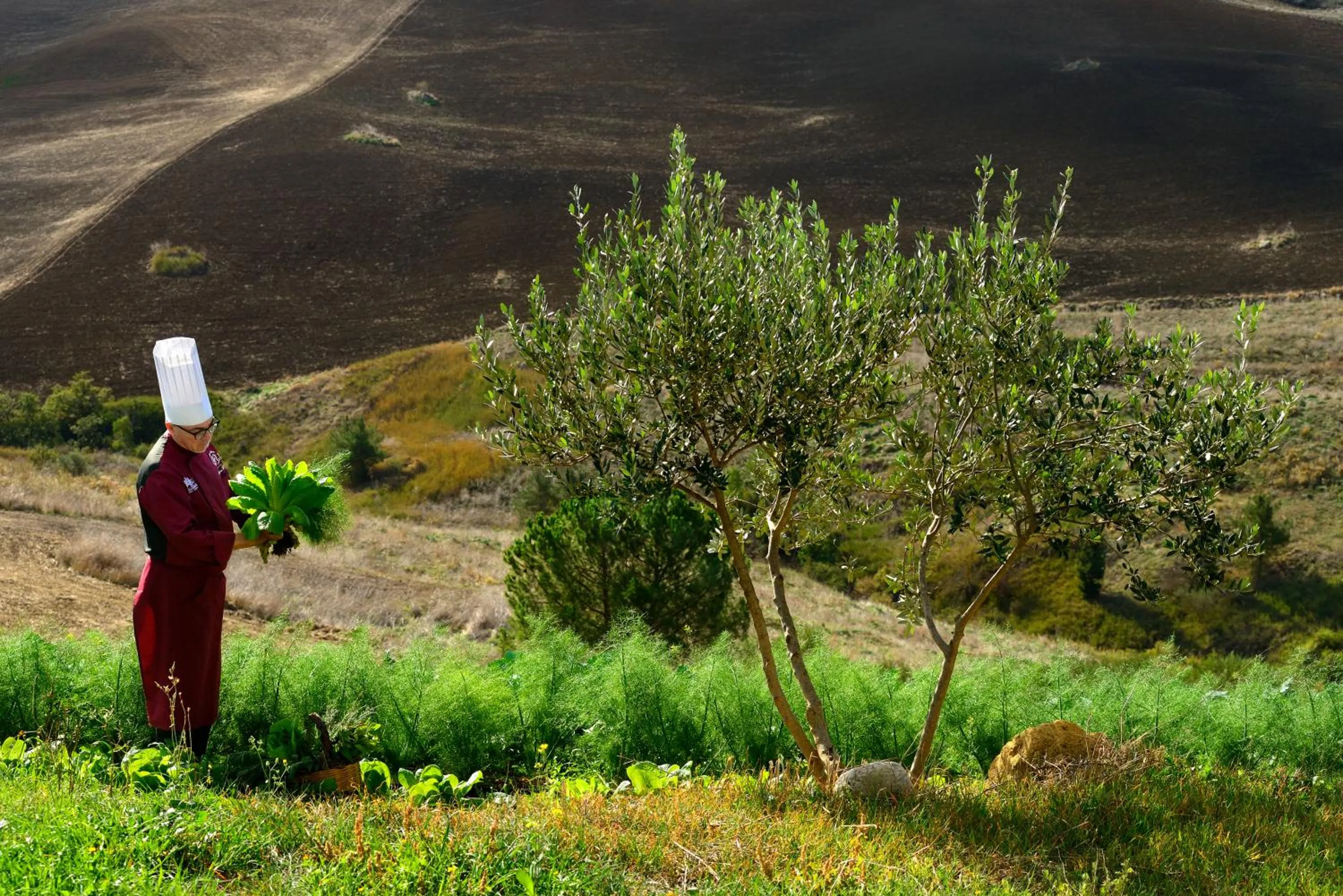 Natural landscape in Villa Dafne