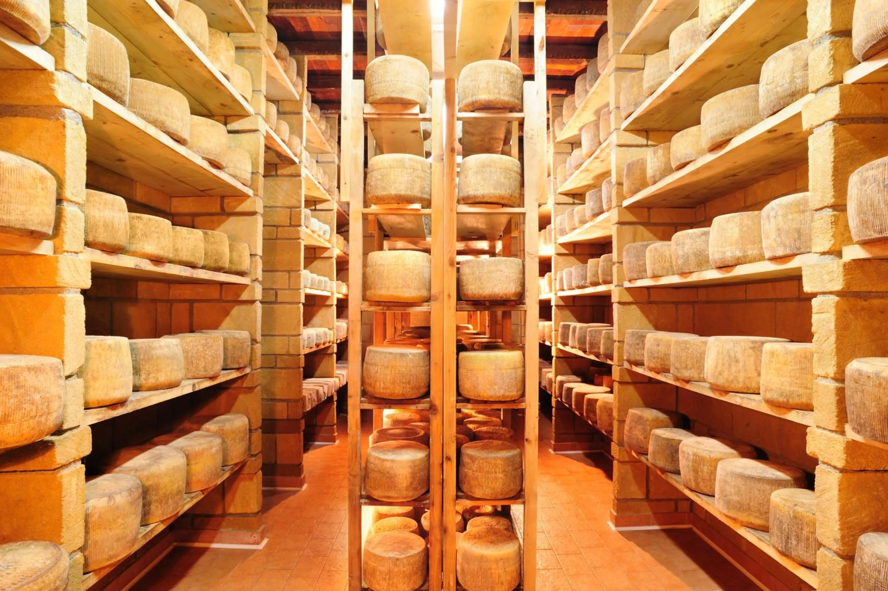 Activities in Villa Dafne