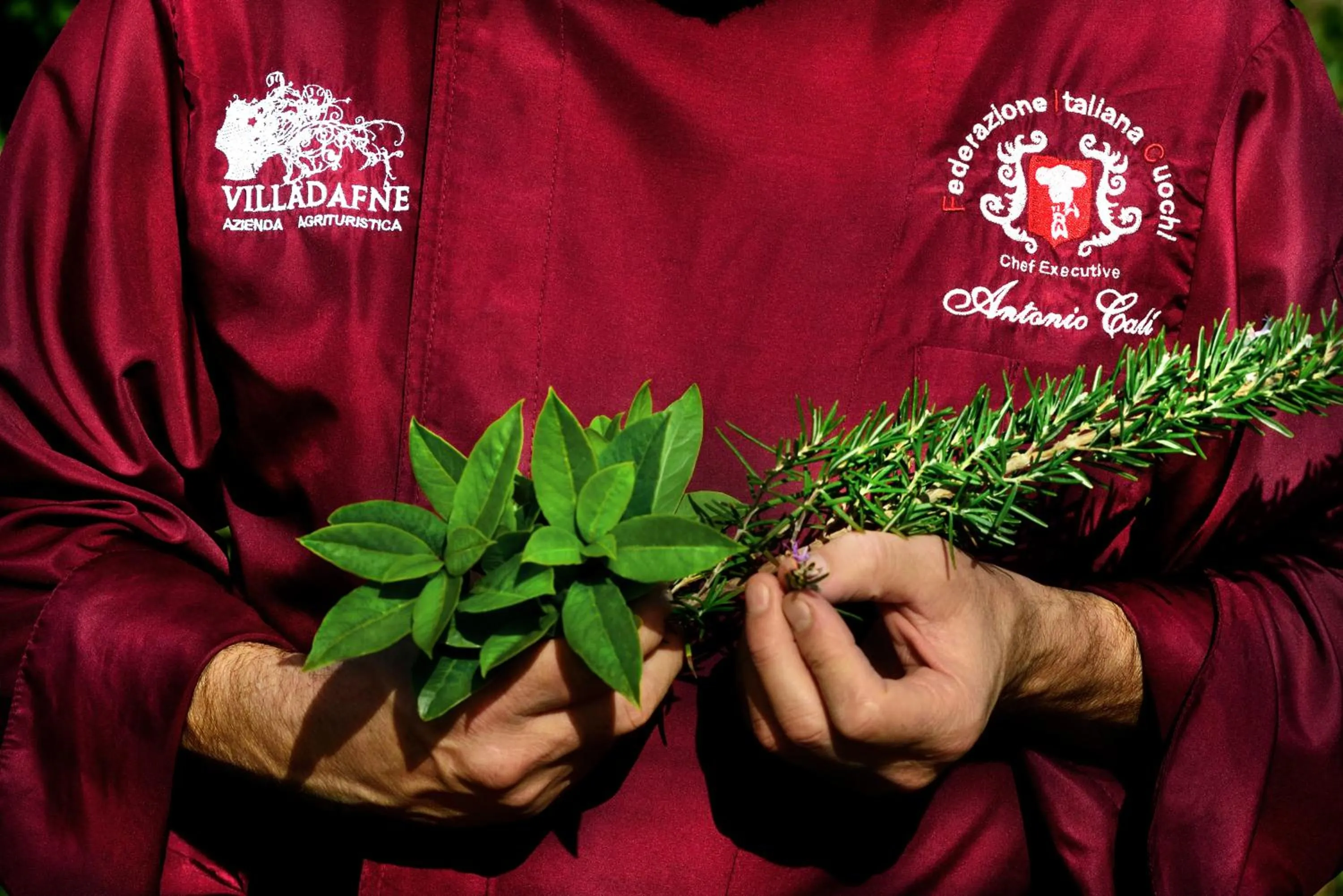 Floor plan in Villa Dafne