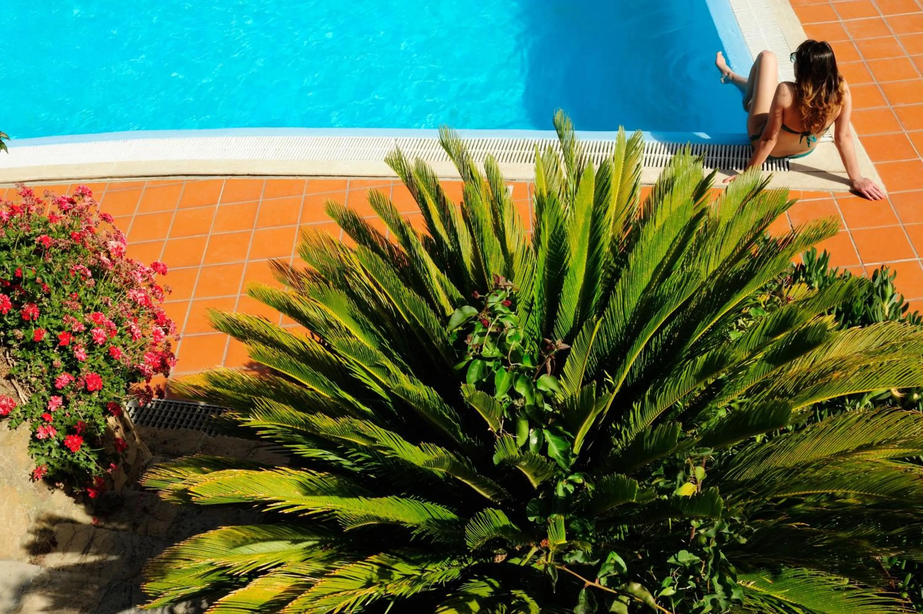 Swimming pool in Villa Dafne