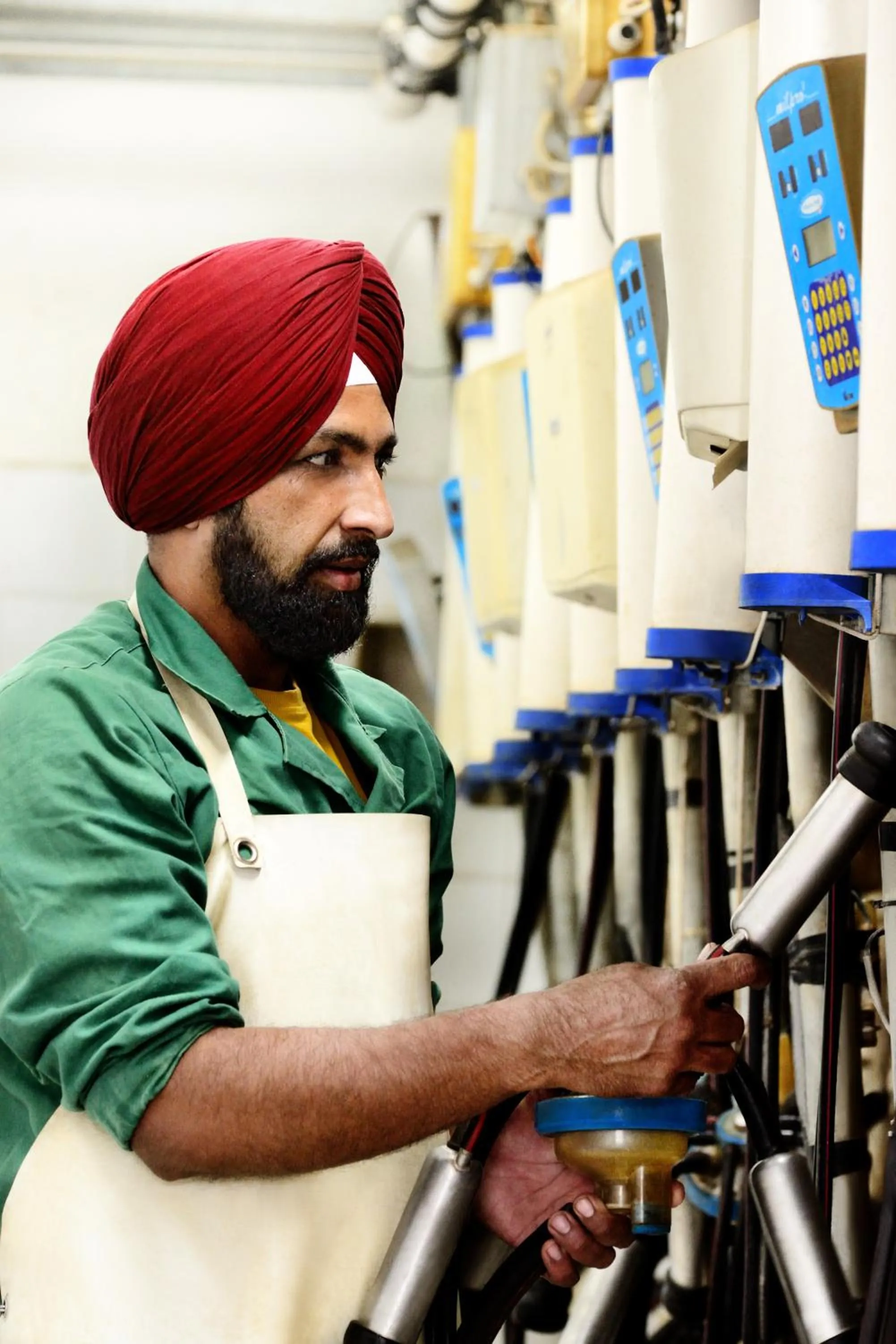 Animals in Villa Dafne