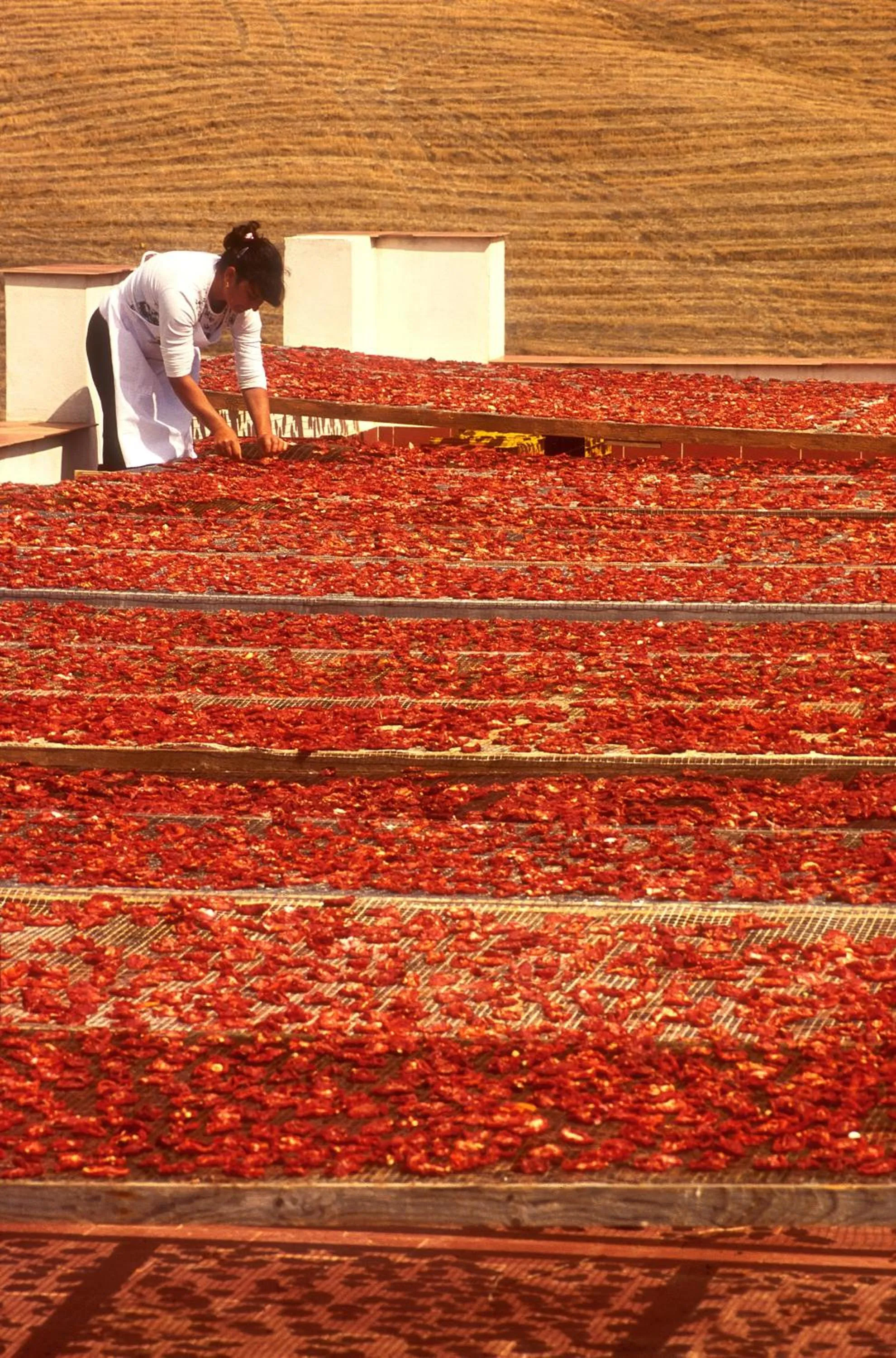 Other in Villa Dafne