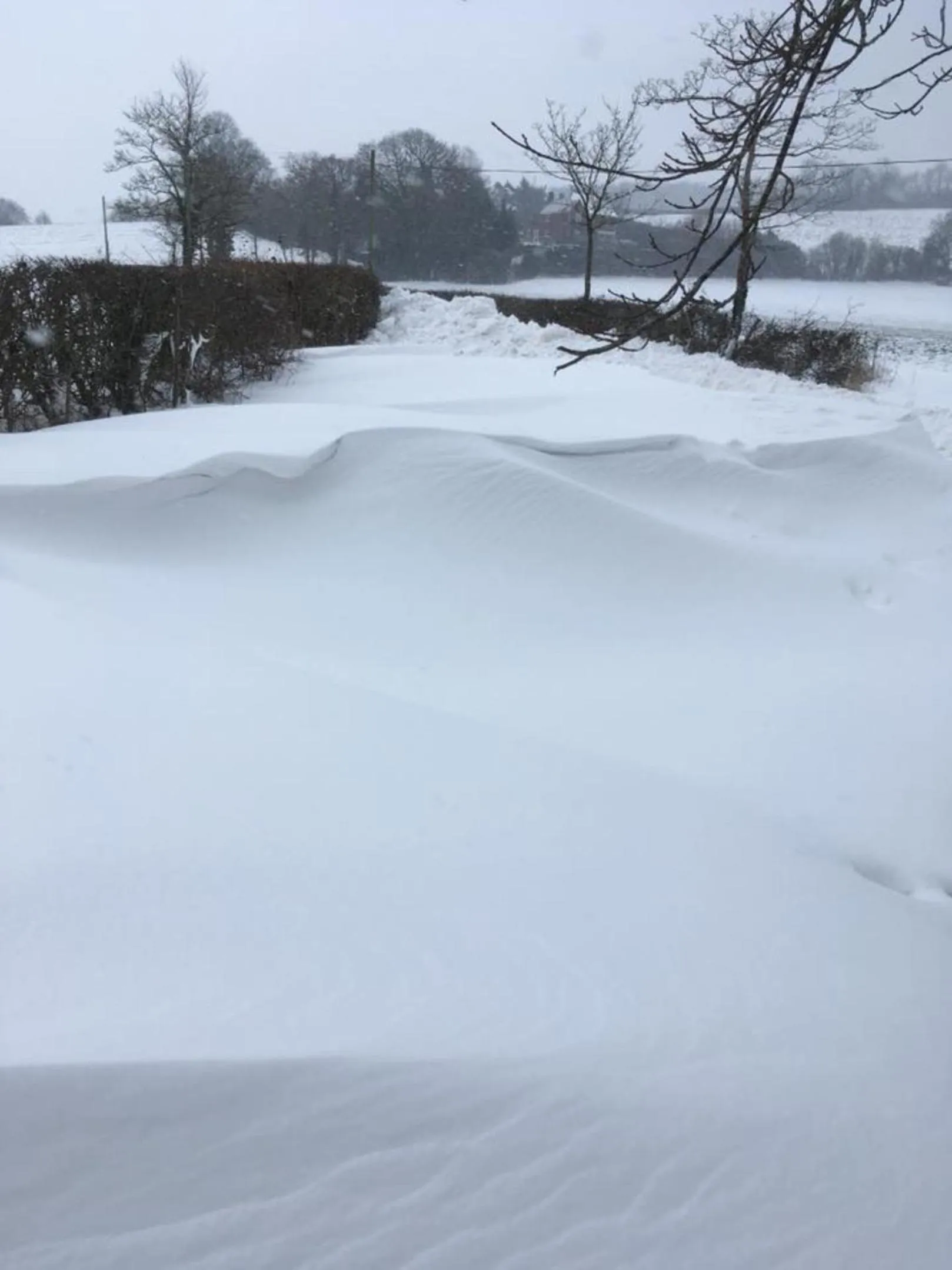 Neighbourhood in Meerkat Manor