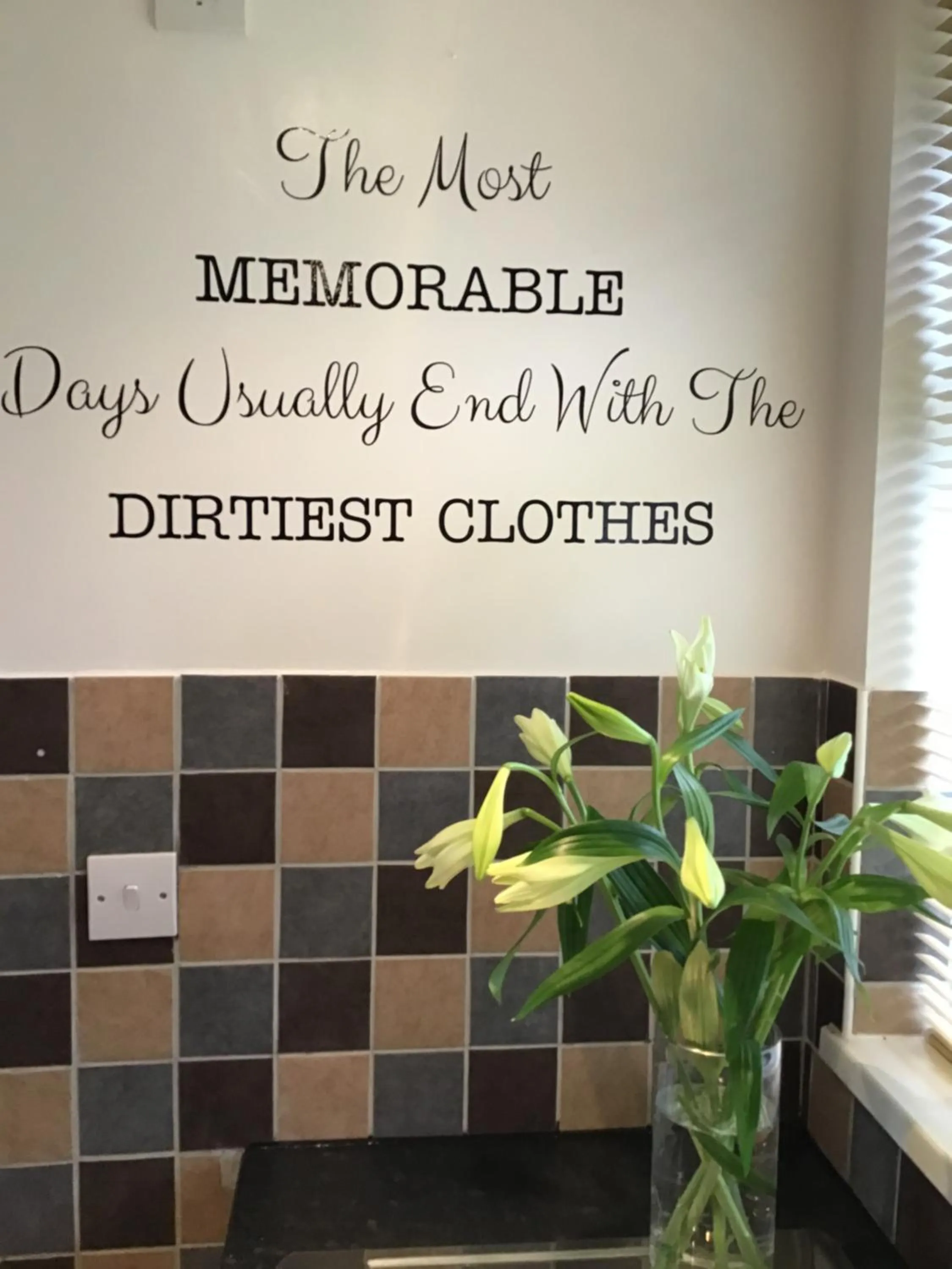 Logo/Certificate/Sign in Meerkat Manor