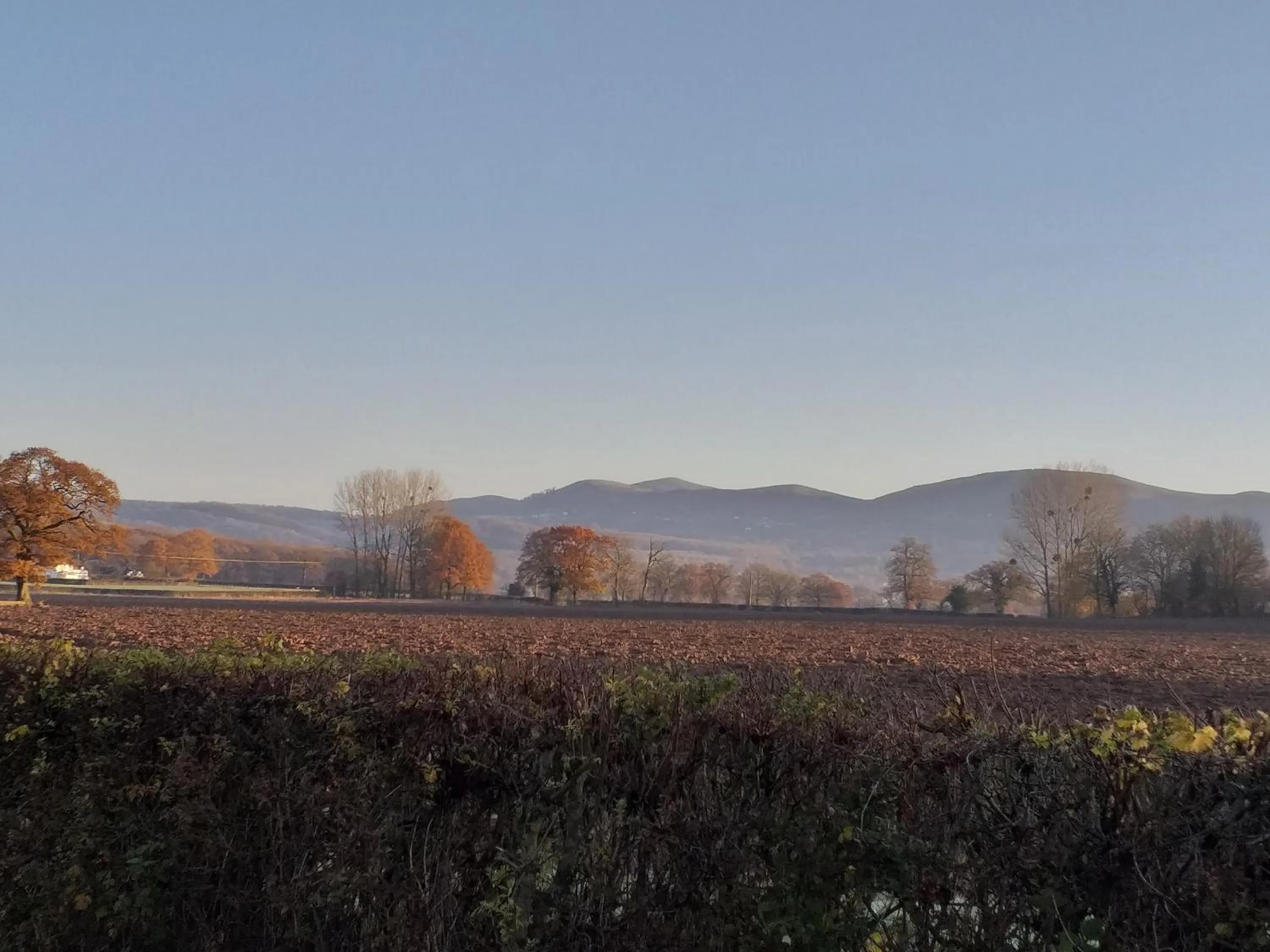 Hiking in Meerkat Manor