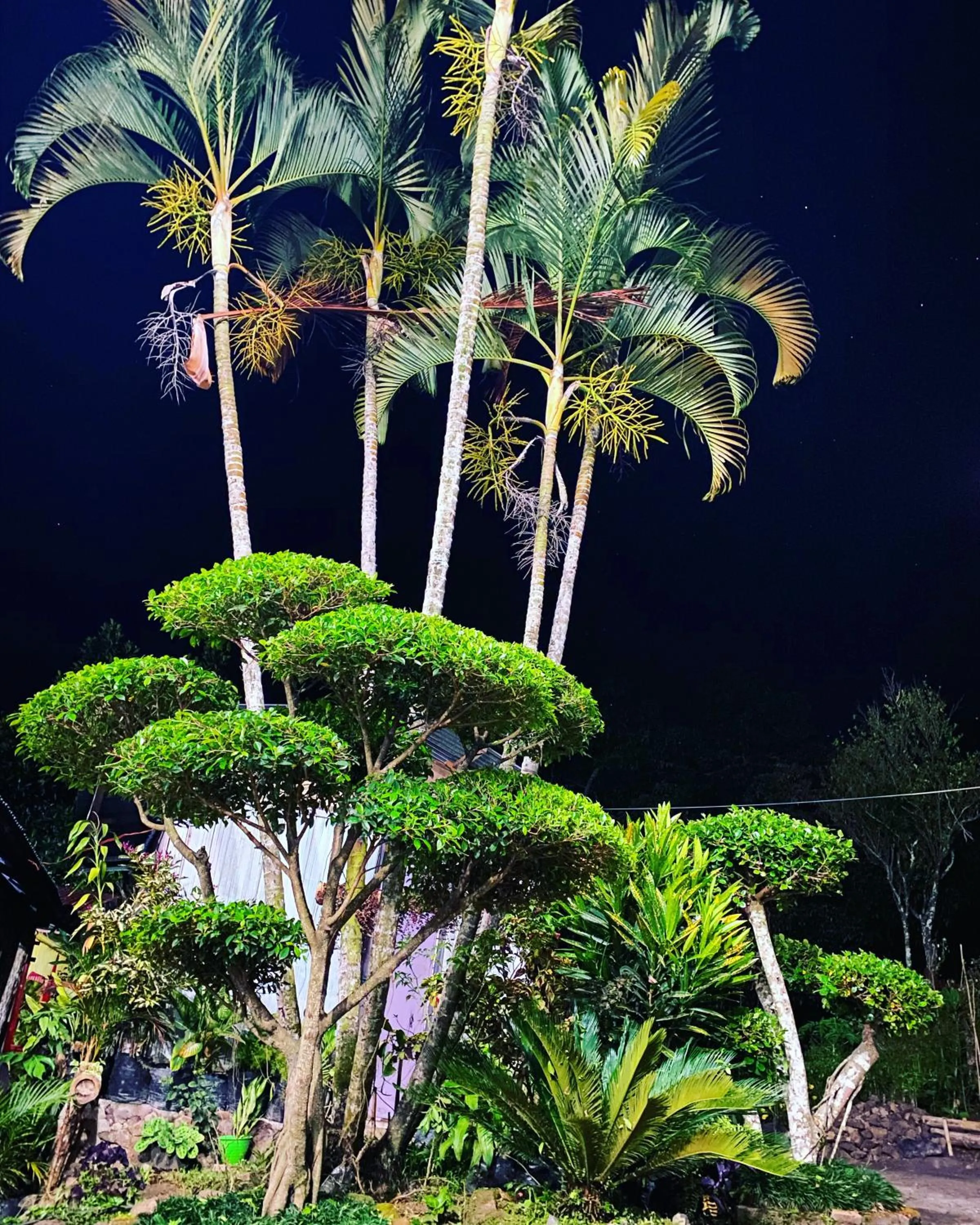 Santiago Bed and Breakfast at Desa Wisata Moni