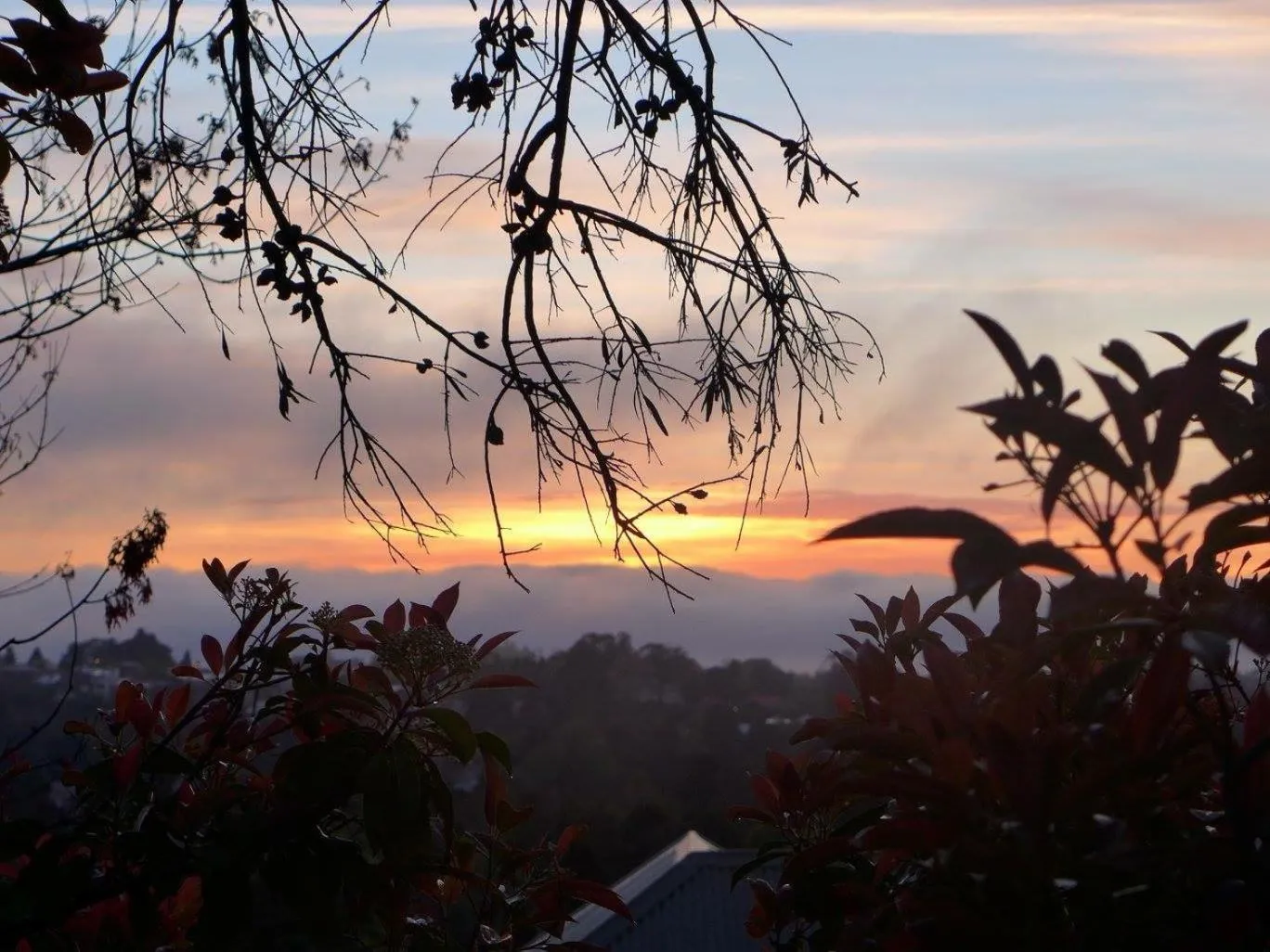 Patio in No14 Lovel St