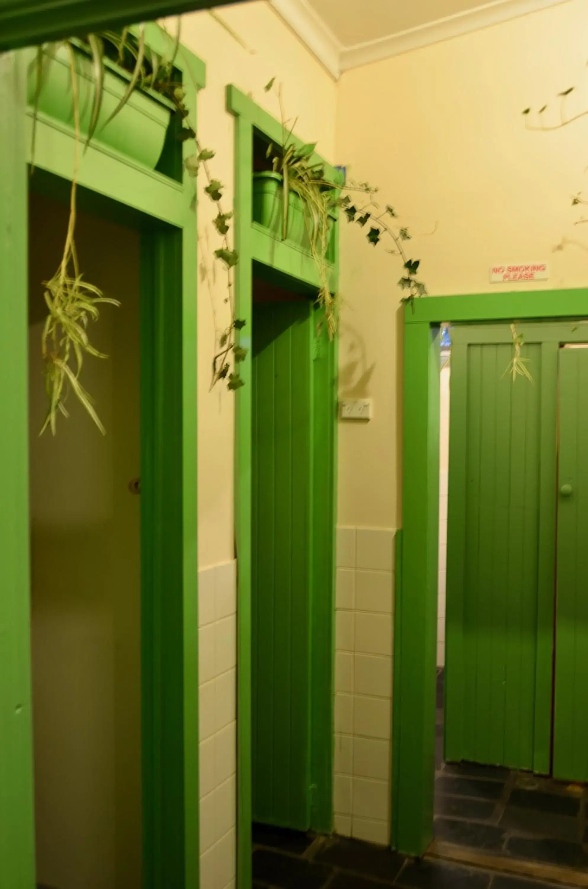 Bed in 5-Bed Dormitory Room in No14 Lovel St Bed in 5-Bed Dormitory Room in No14 Lovel St