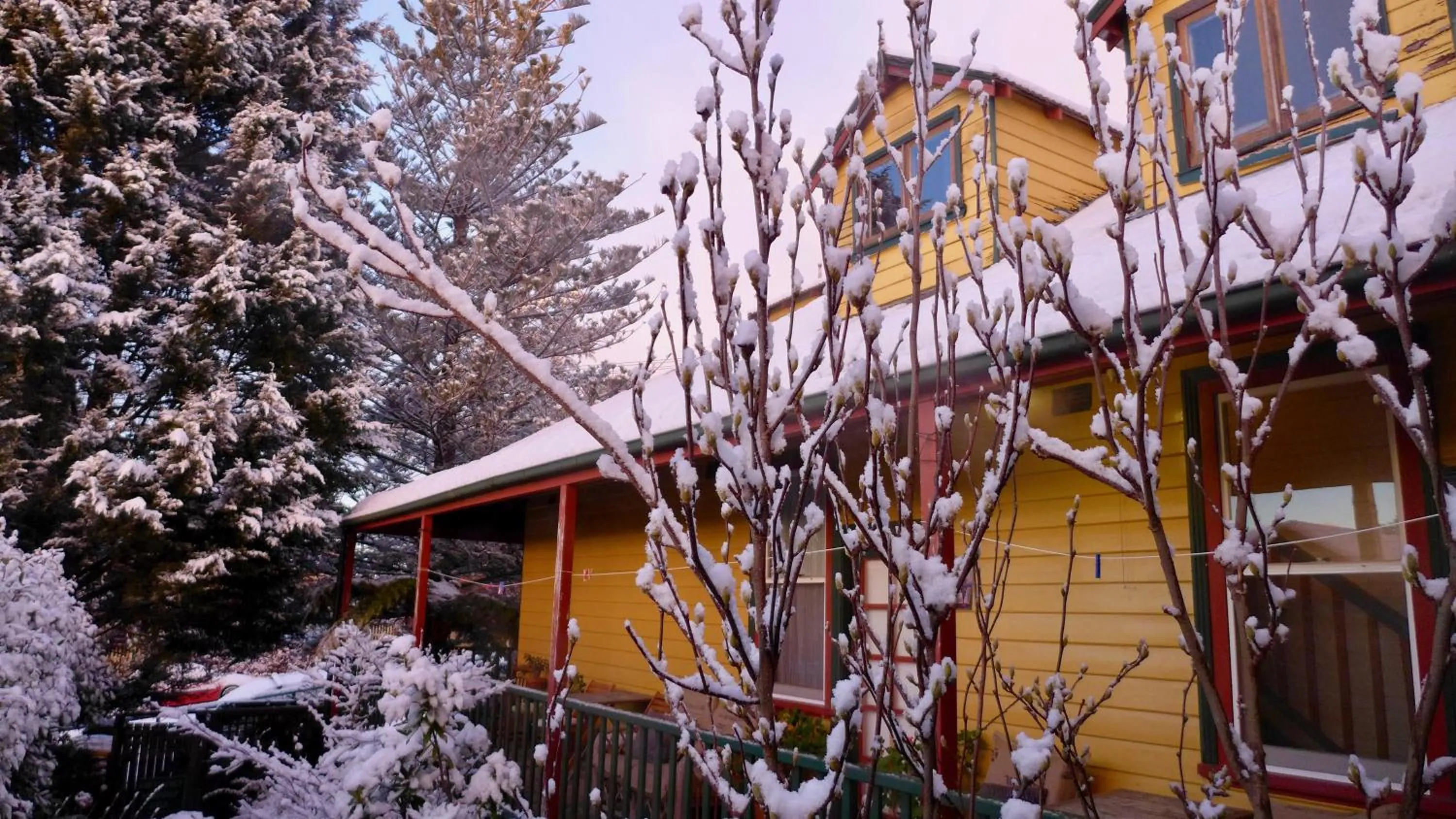 Patio in No14 Lovel St