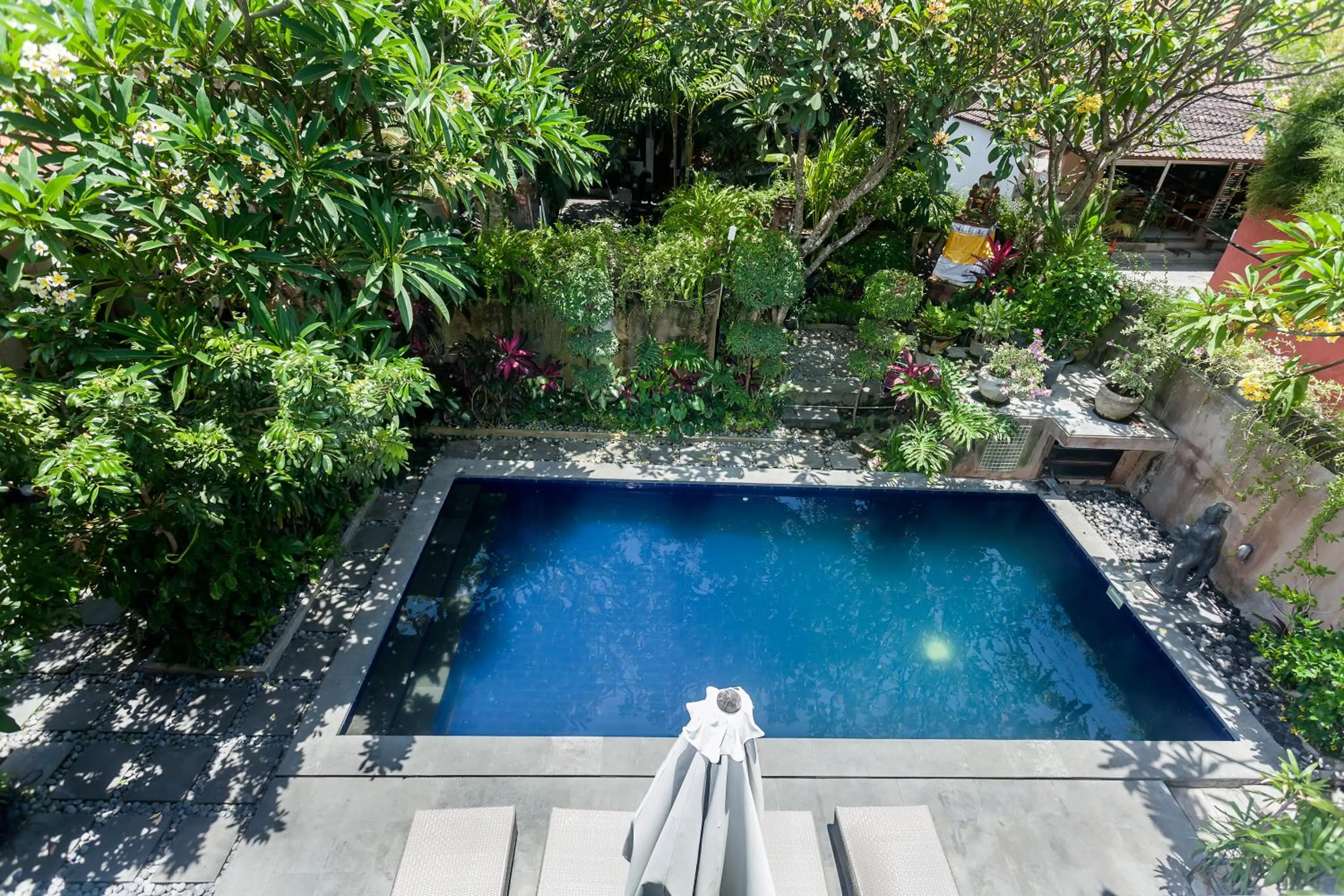 Pool view in Anindya Sanur