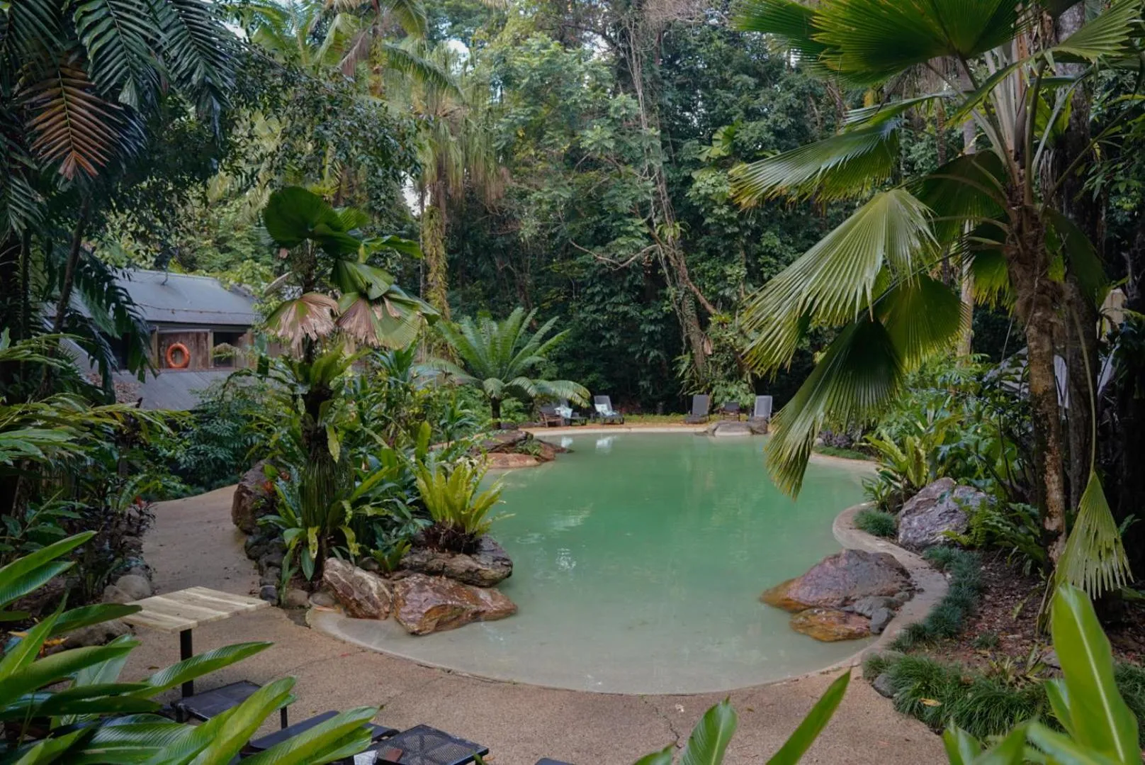 Ferntree Rainforest Lodge