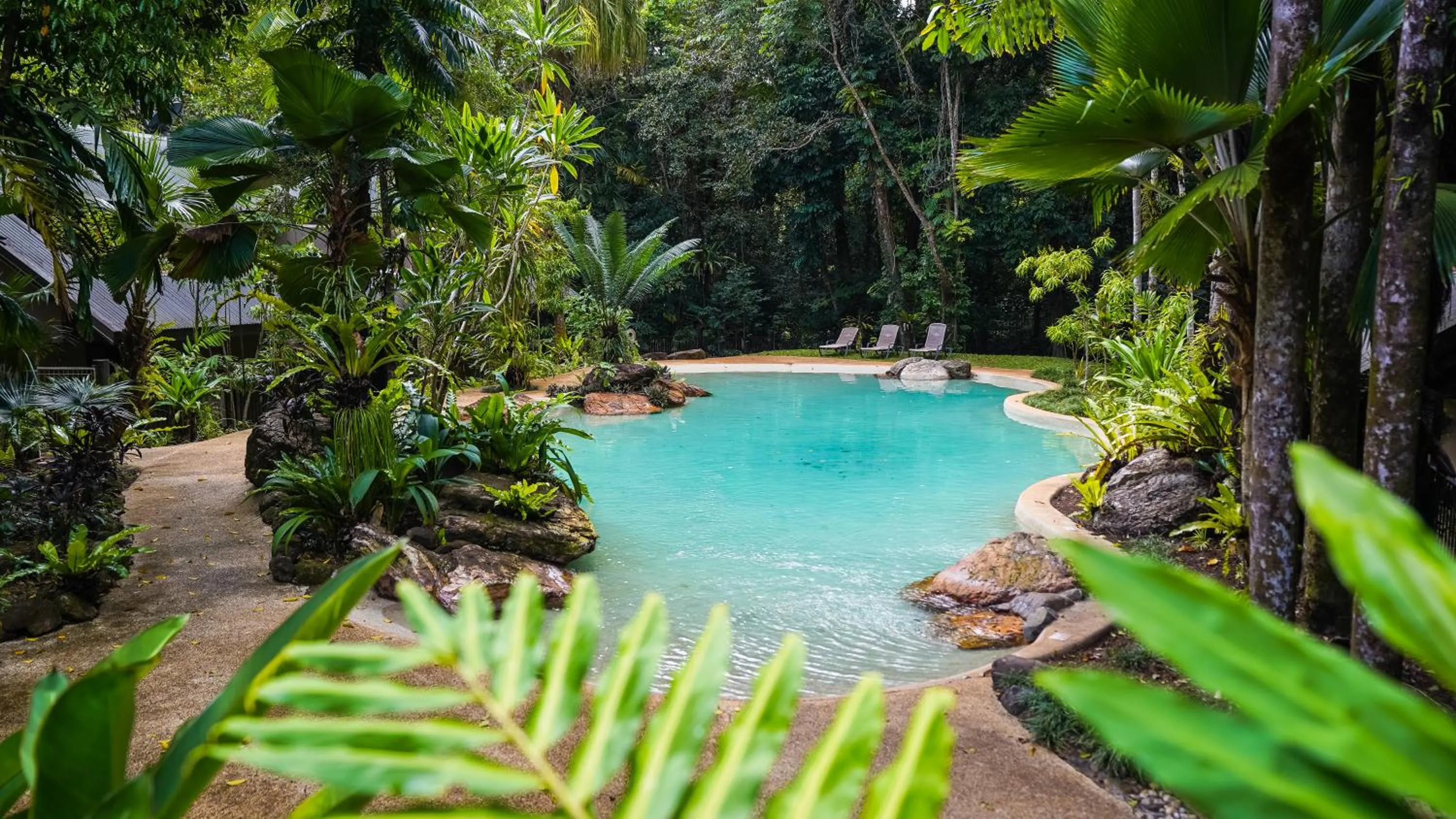 Ferntree Rainforest Lodge