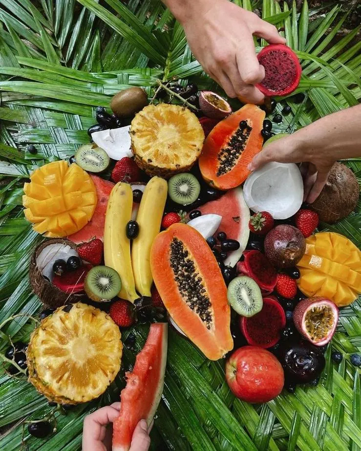 Ferntree Rainforest Lodge