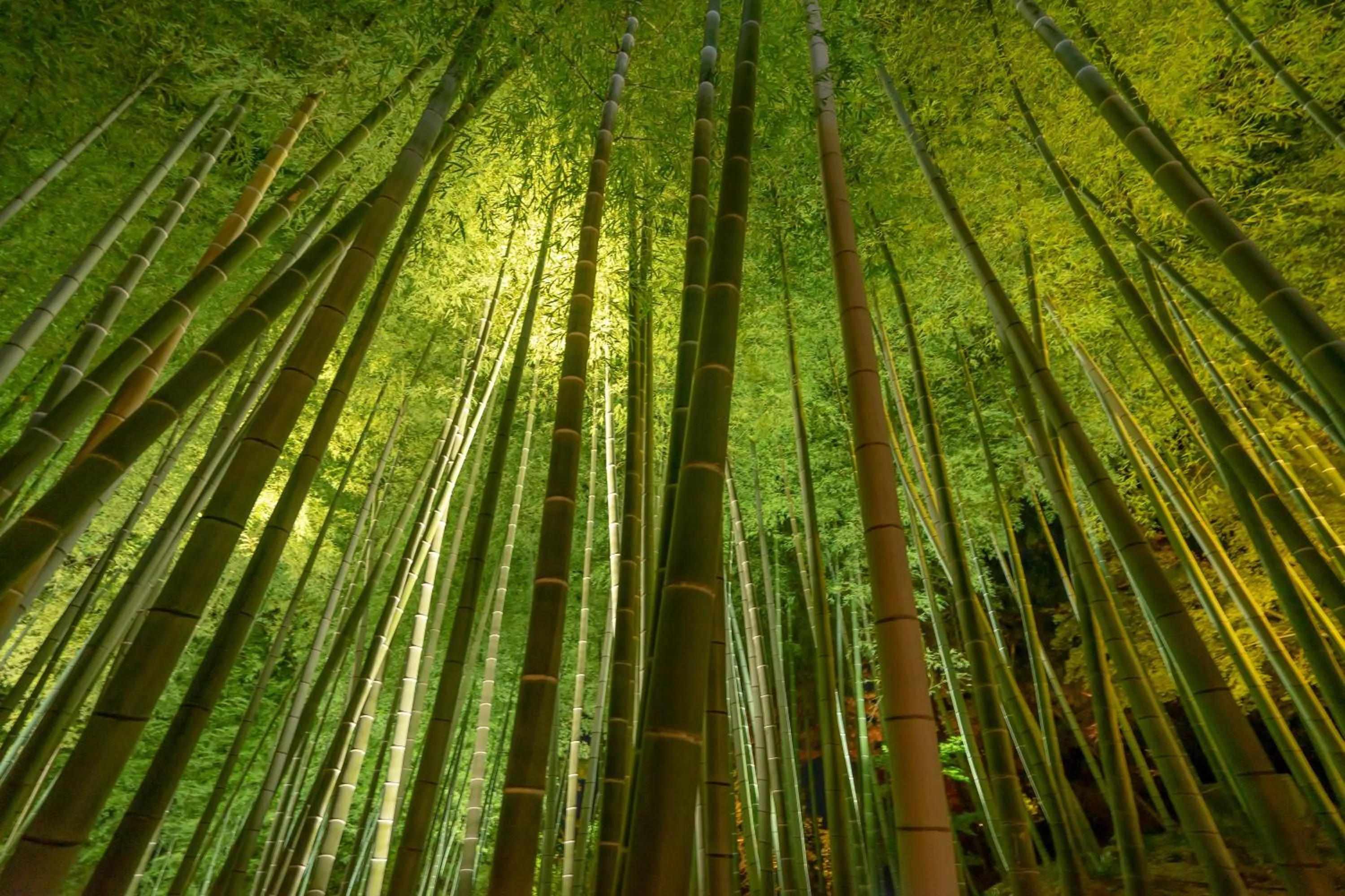 Nearby landmark in Kyoto Nanzenji Ryokan Yachiyo Established in 1915