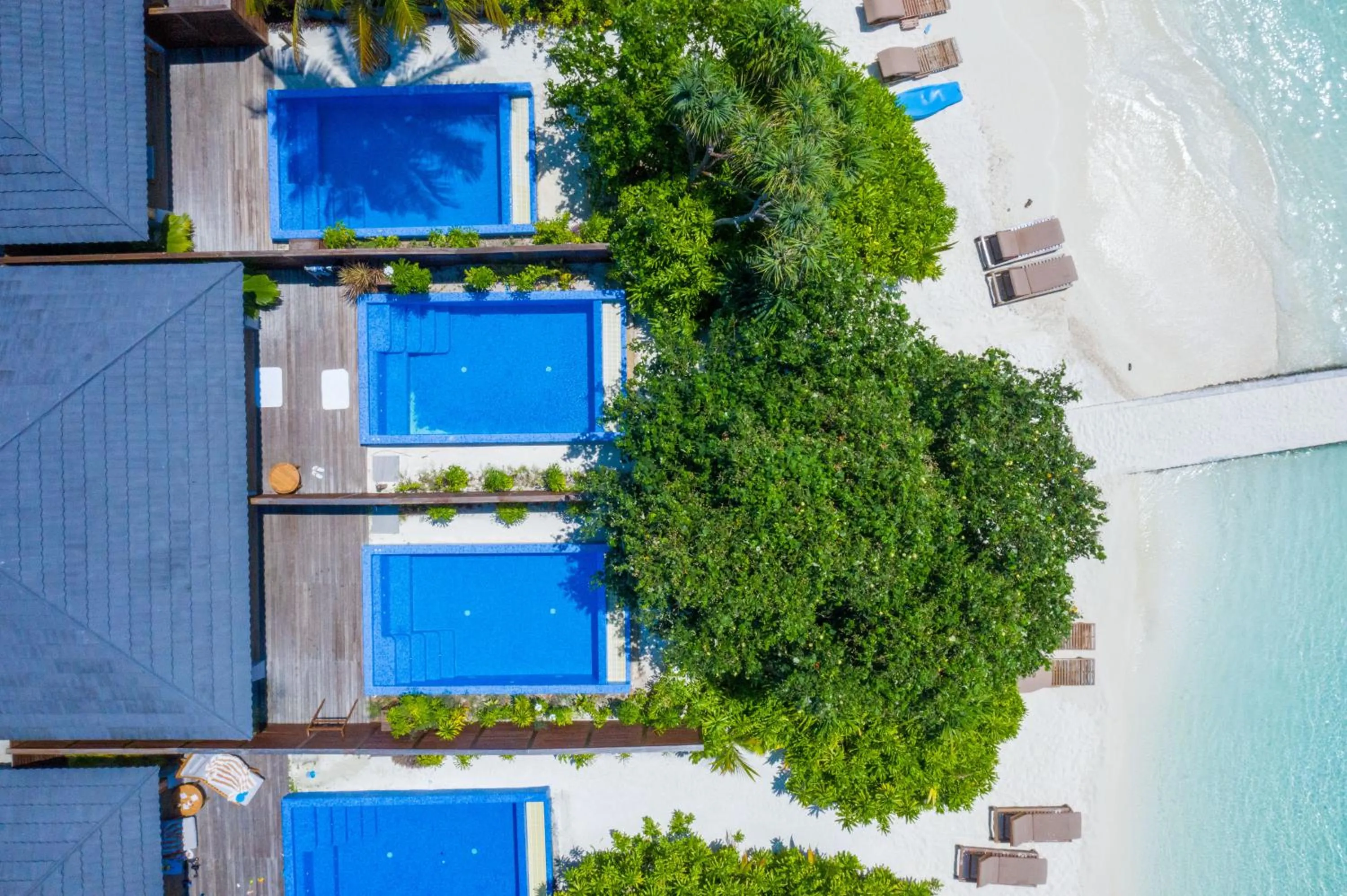 Natural landscape in Lily Beach Resort and Spa - All Inclusive