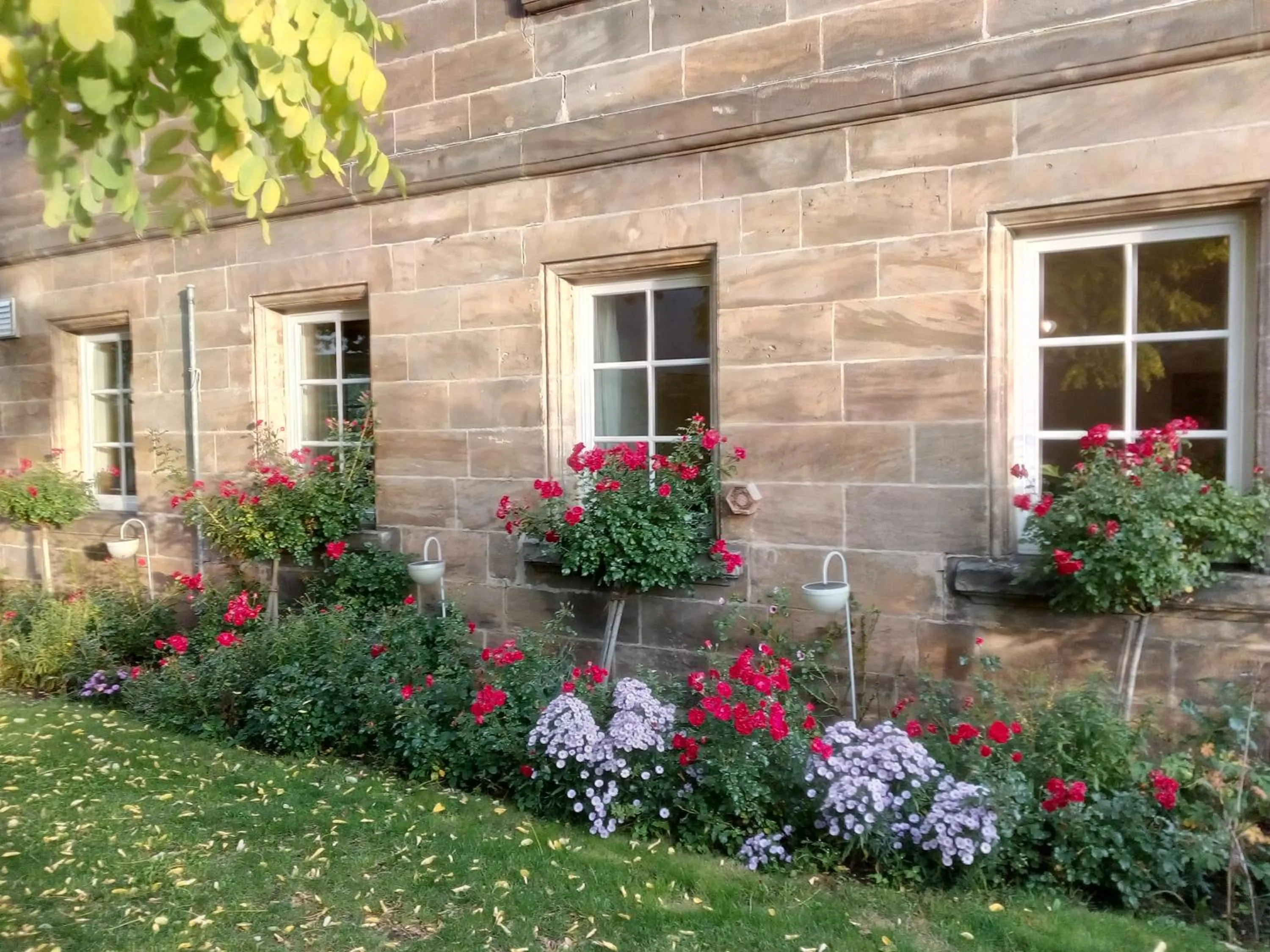 Property building in Hotel-Gasthof Opel Bed & Breakfast