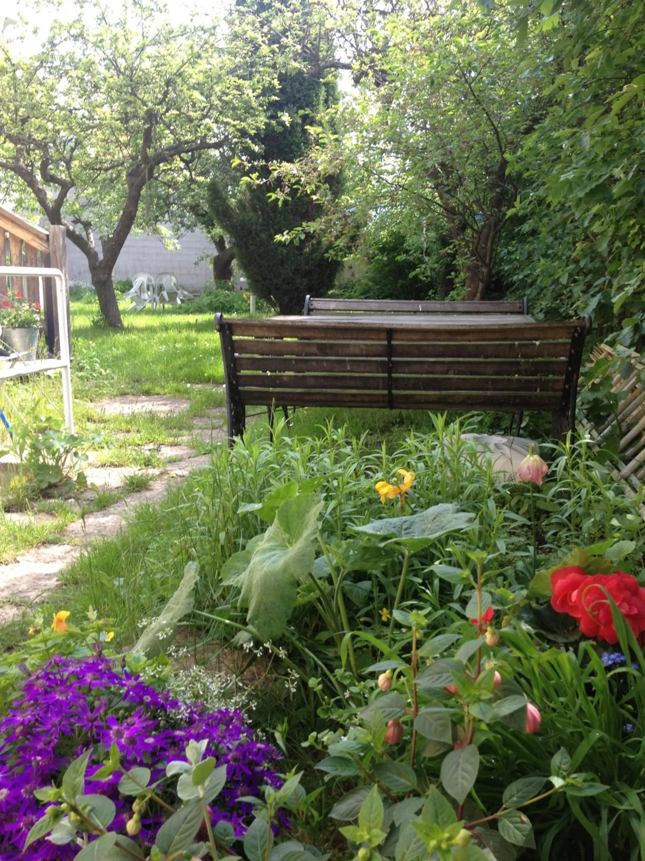 Garden in Villa Verdi