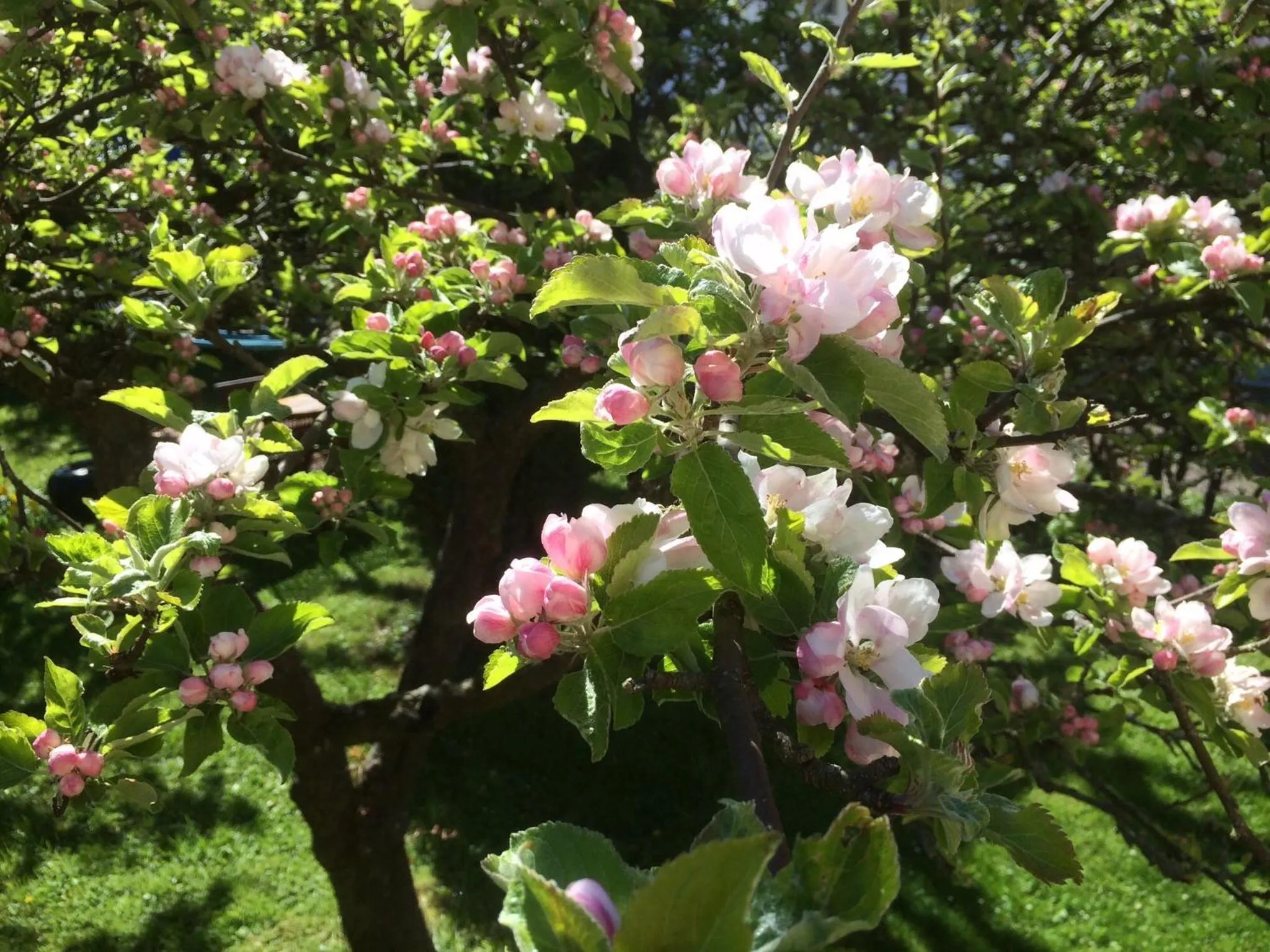 Decorative detail in Villa Verdi