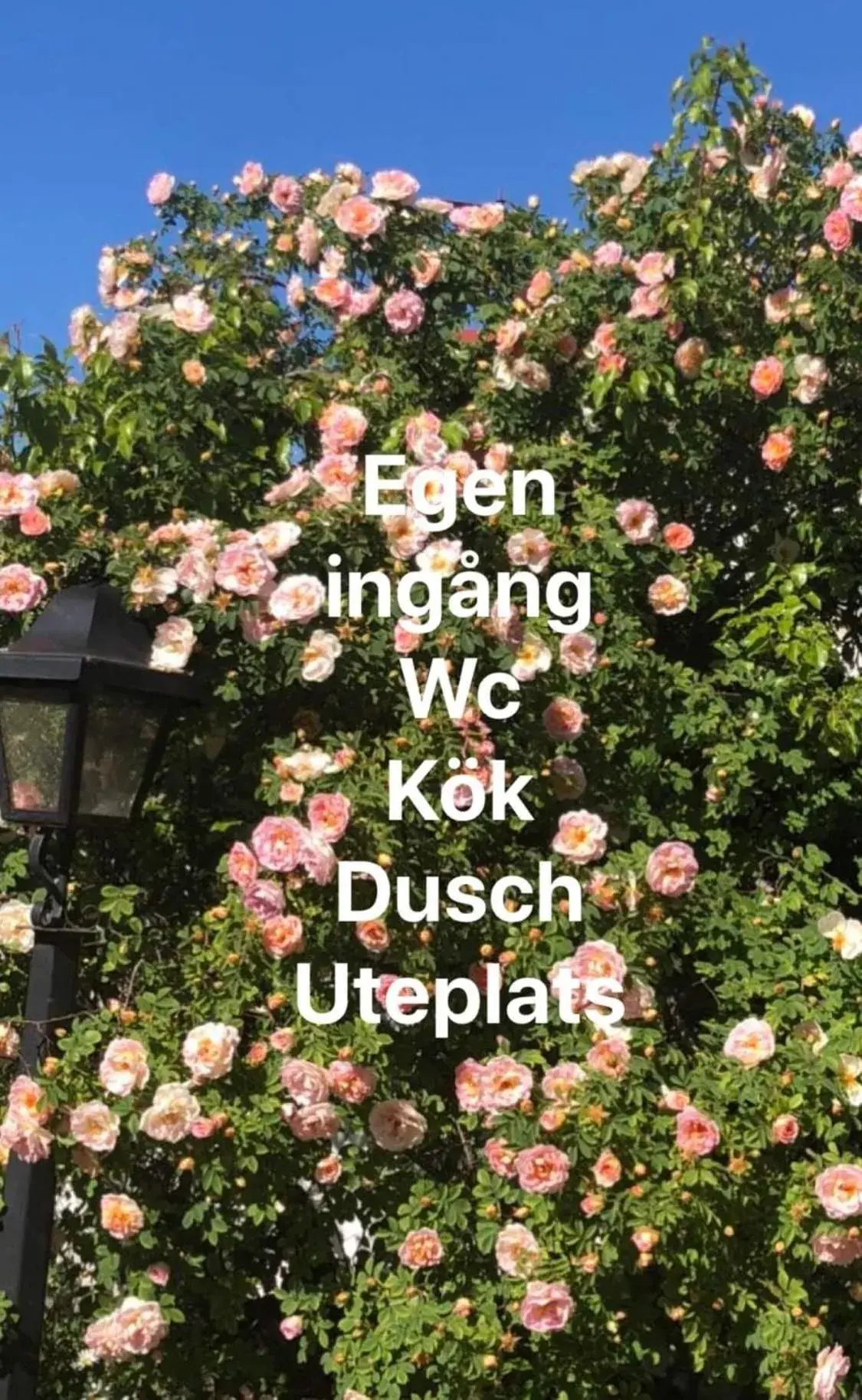 Villa Verdi Villa Verdi