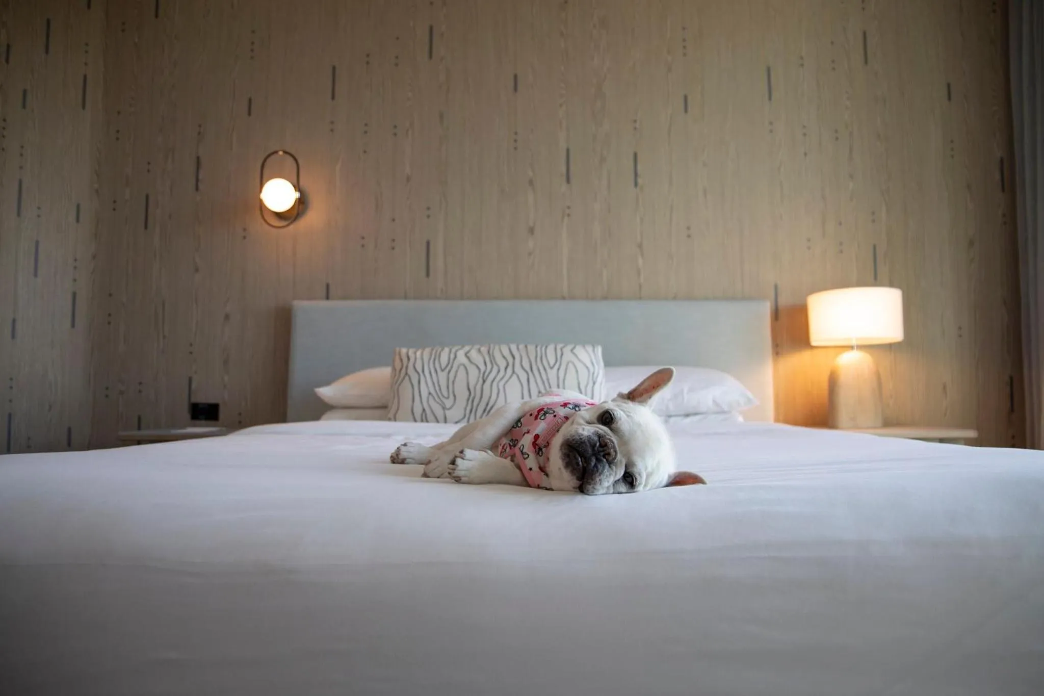 Other, Bed in Kimpton - Hotel Palomar South Beach by IHG