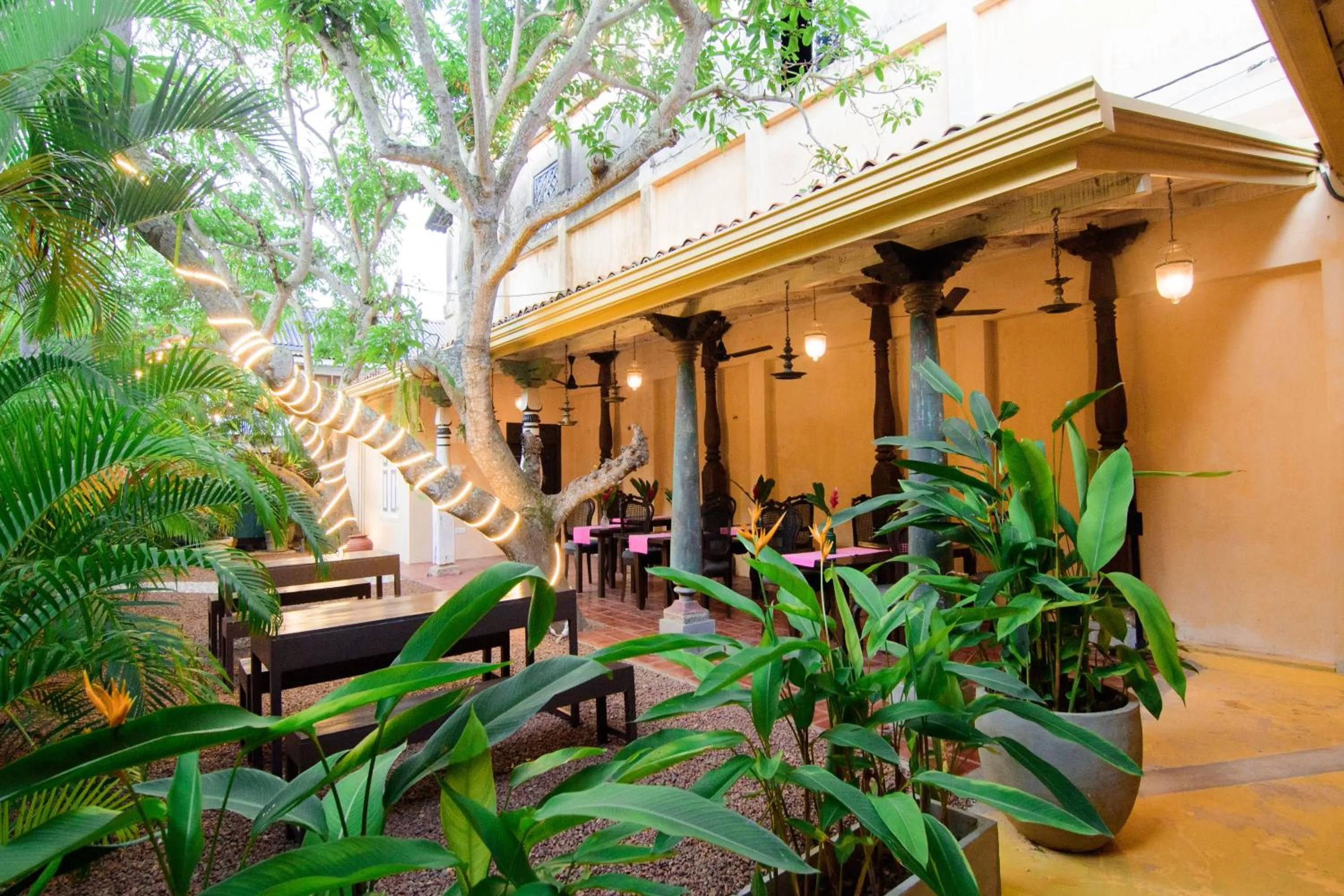 Property building in Mango House - Galle Fort