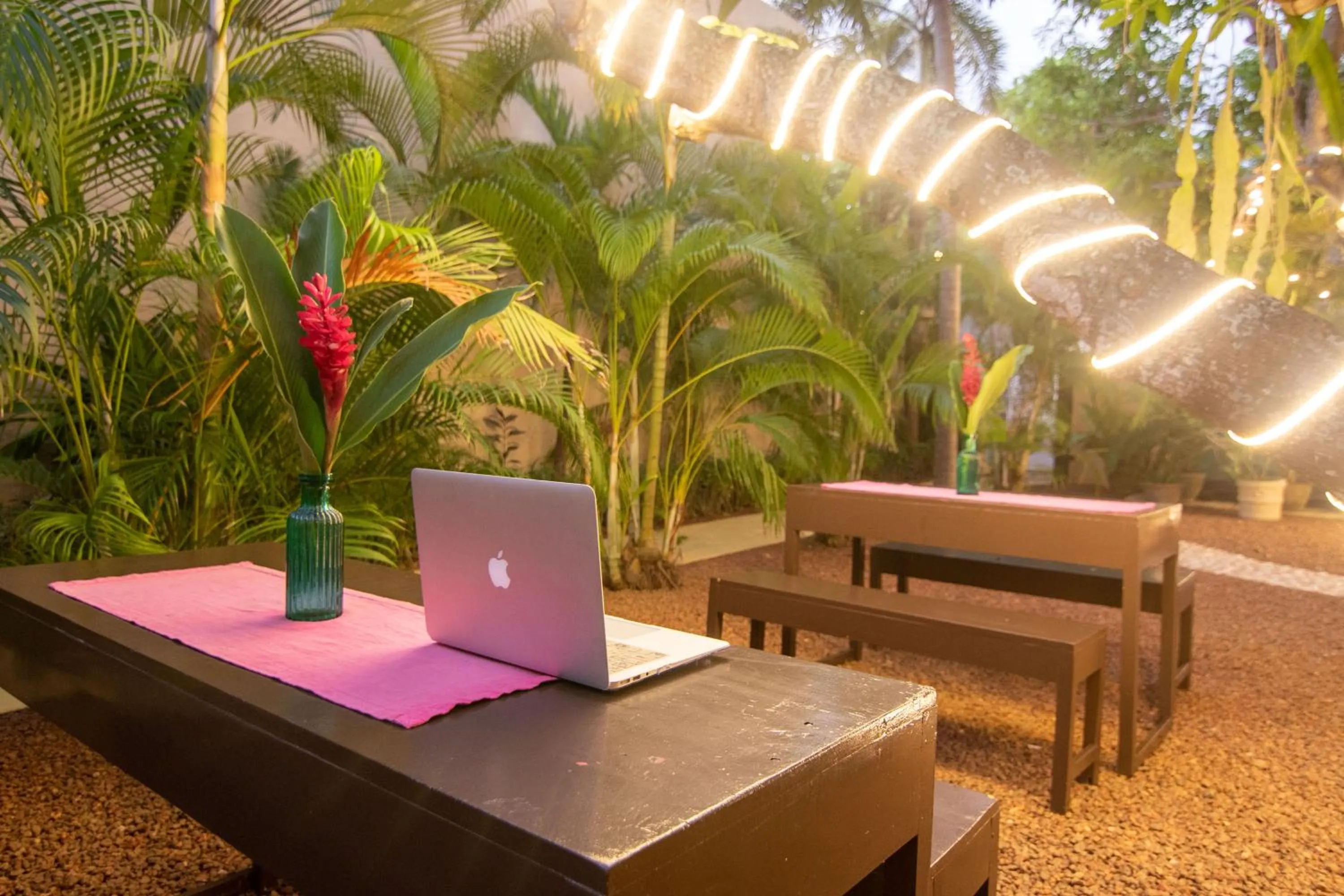 Restaurant/places to eat in Mango House - Galle Fort