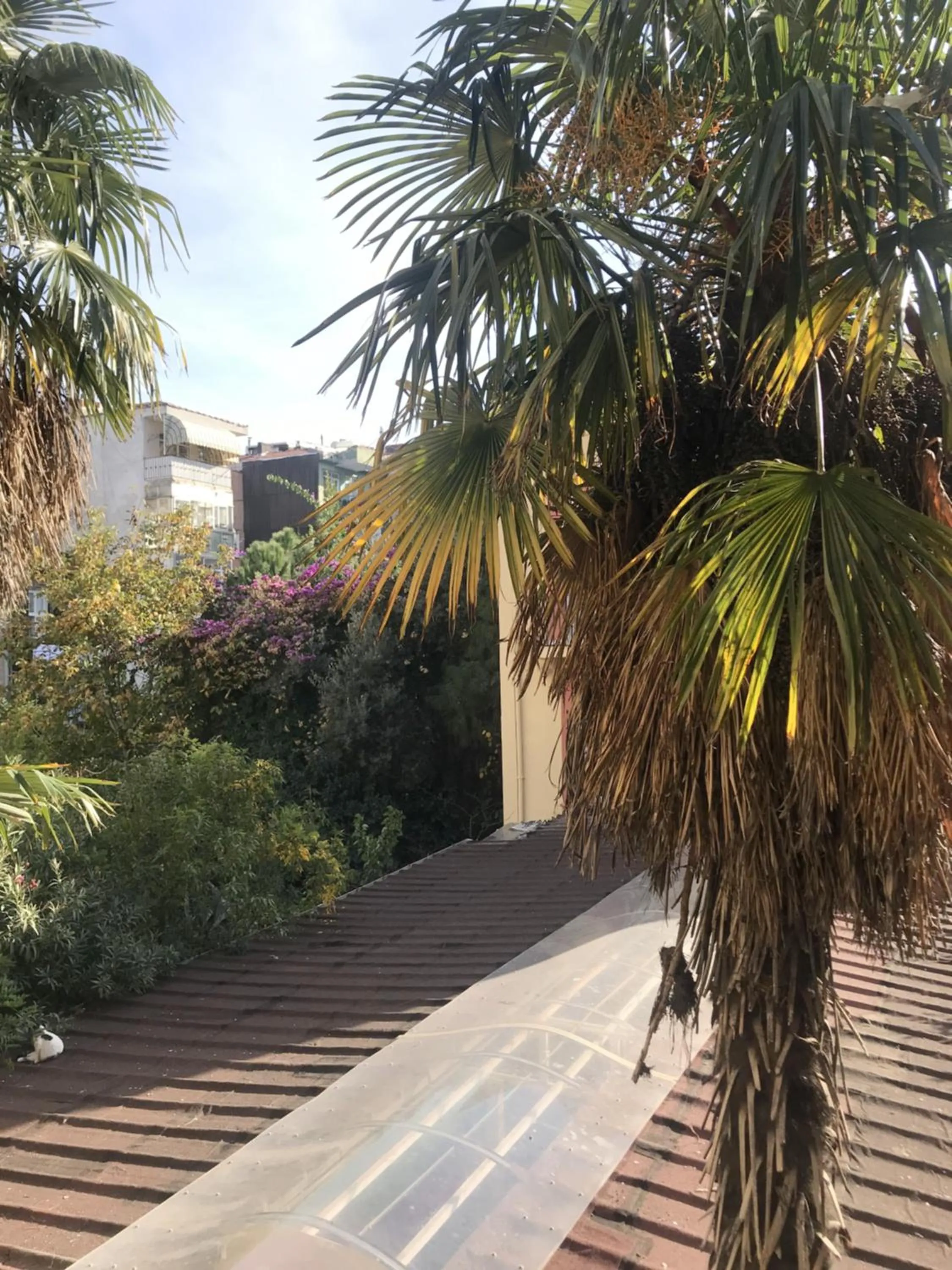 Property building in Kalkedon Hostel