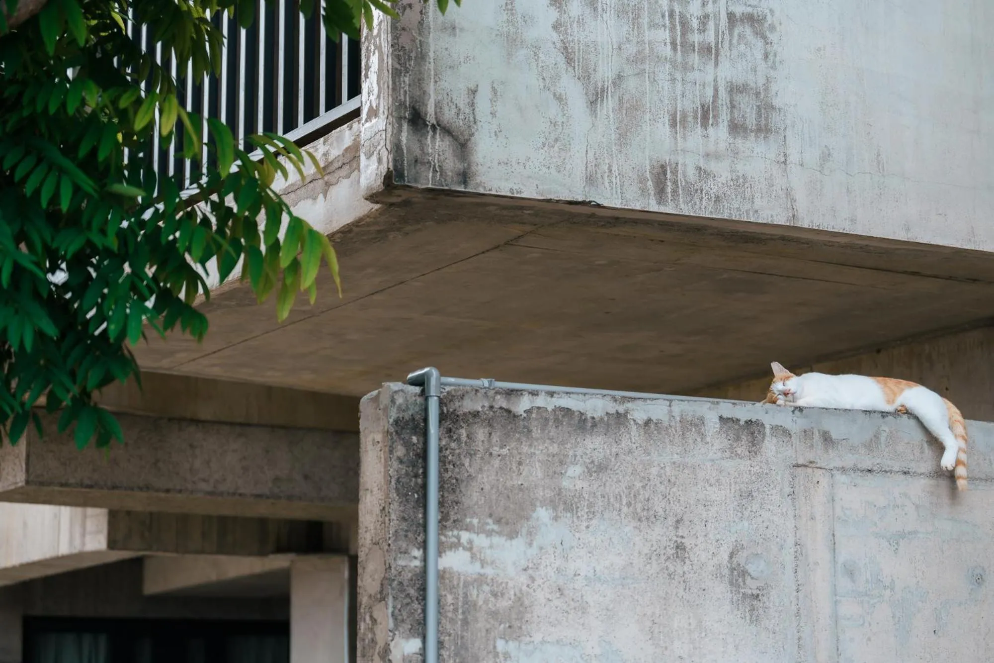 Property building in The Light