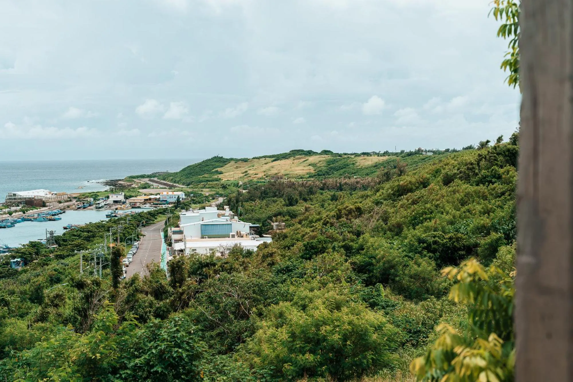 Mountain view in The Light