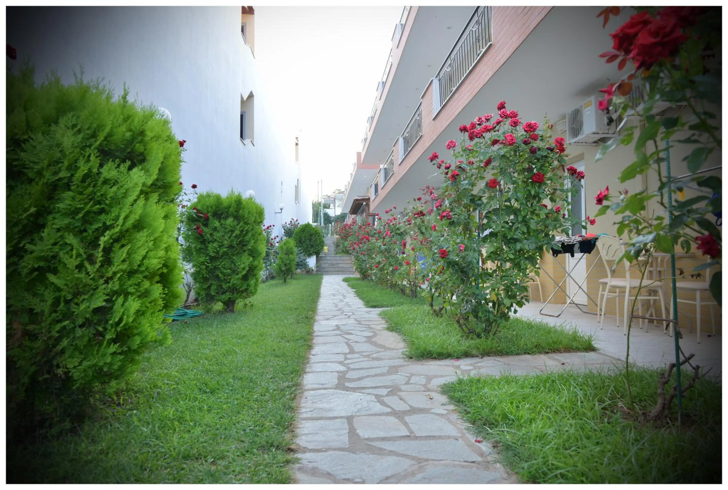 Garden in Anna Christina Apartments