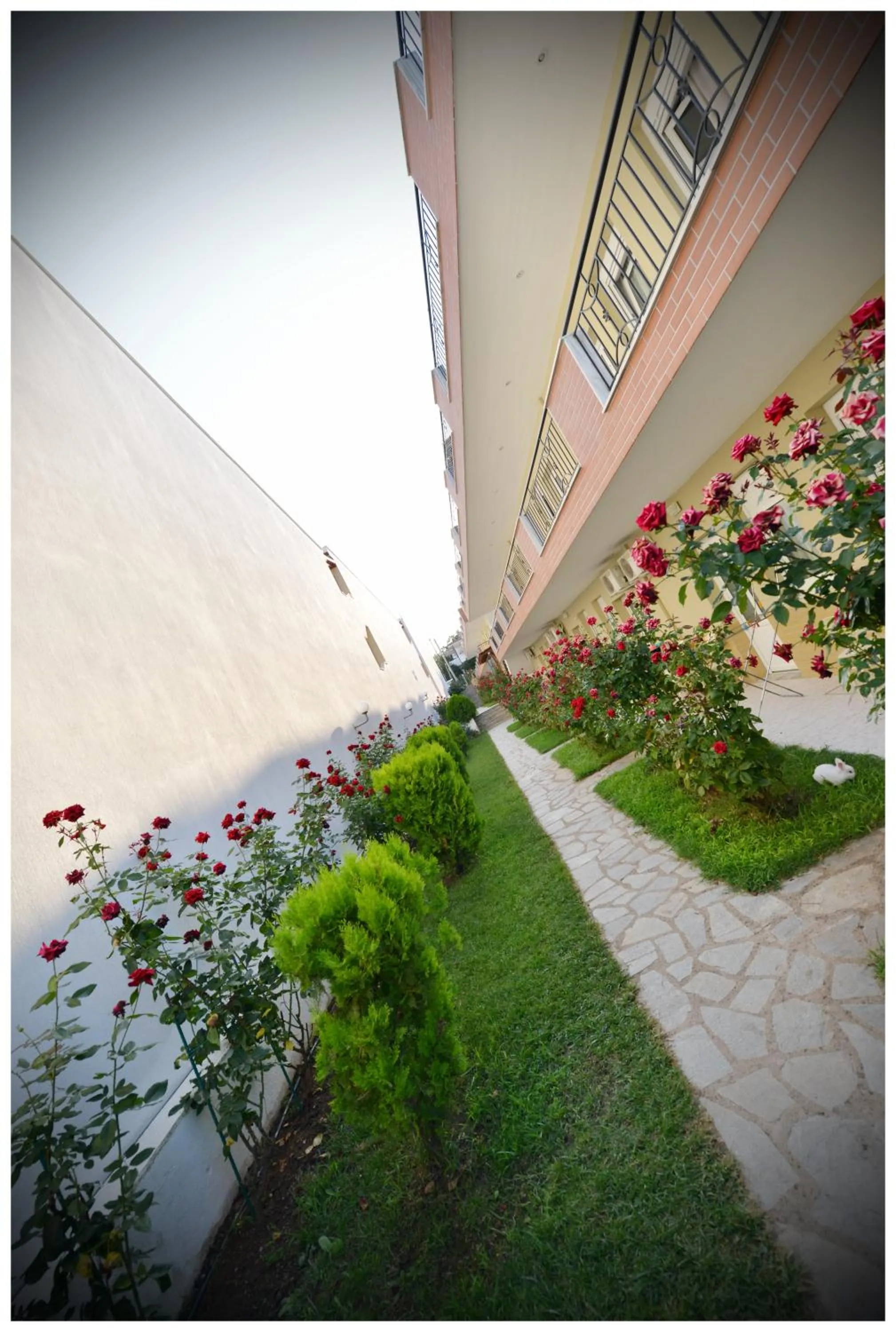 Garden in Anna Christina Apartments