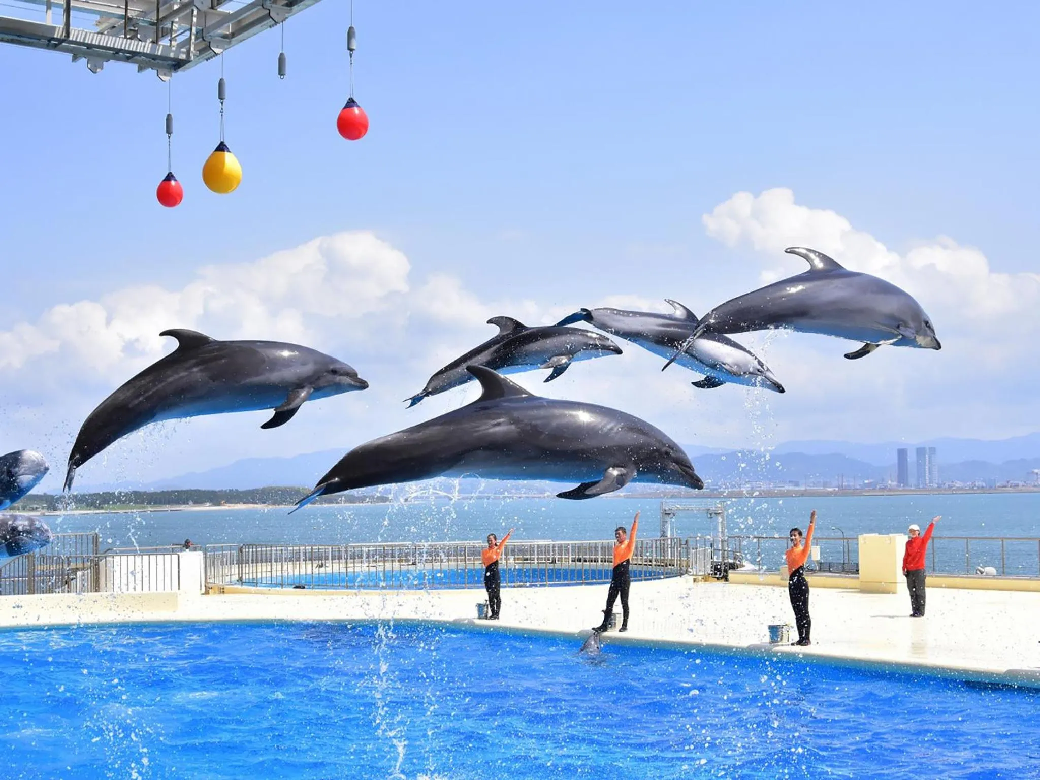 The Luigans Spa and Resort