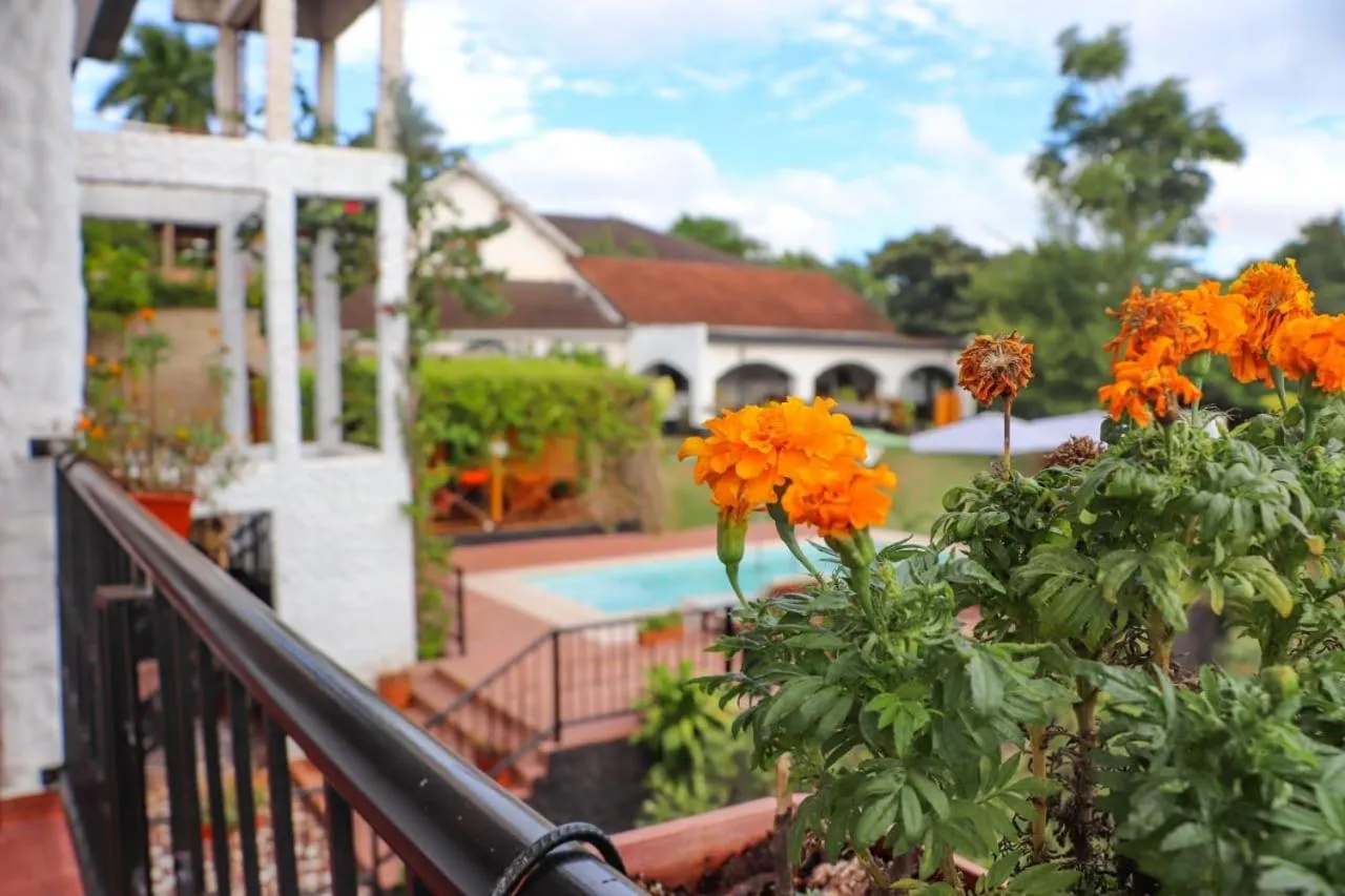 Mediterráneo Suites