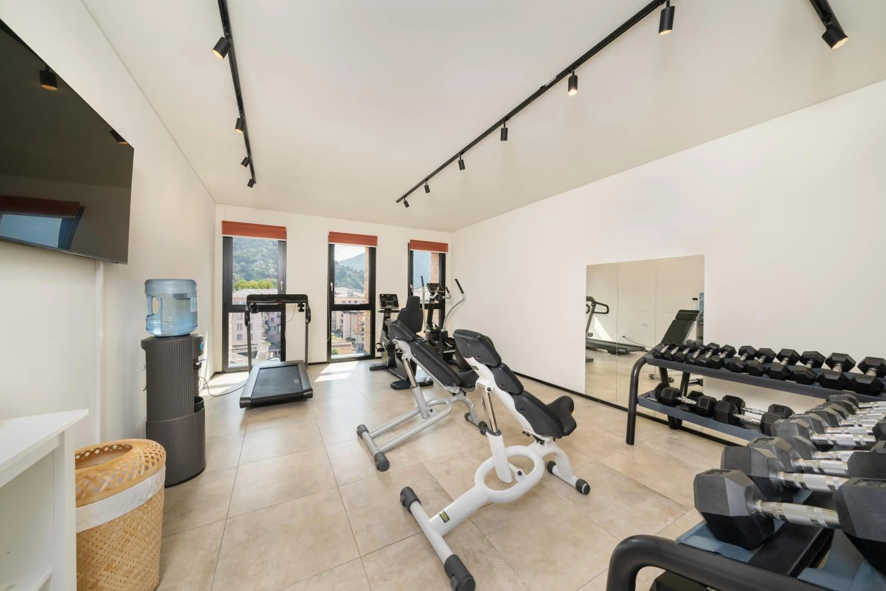Fitness centre/facilities in Swiss Hotel Apartments - Lugano