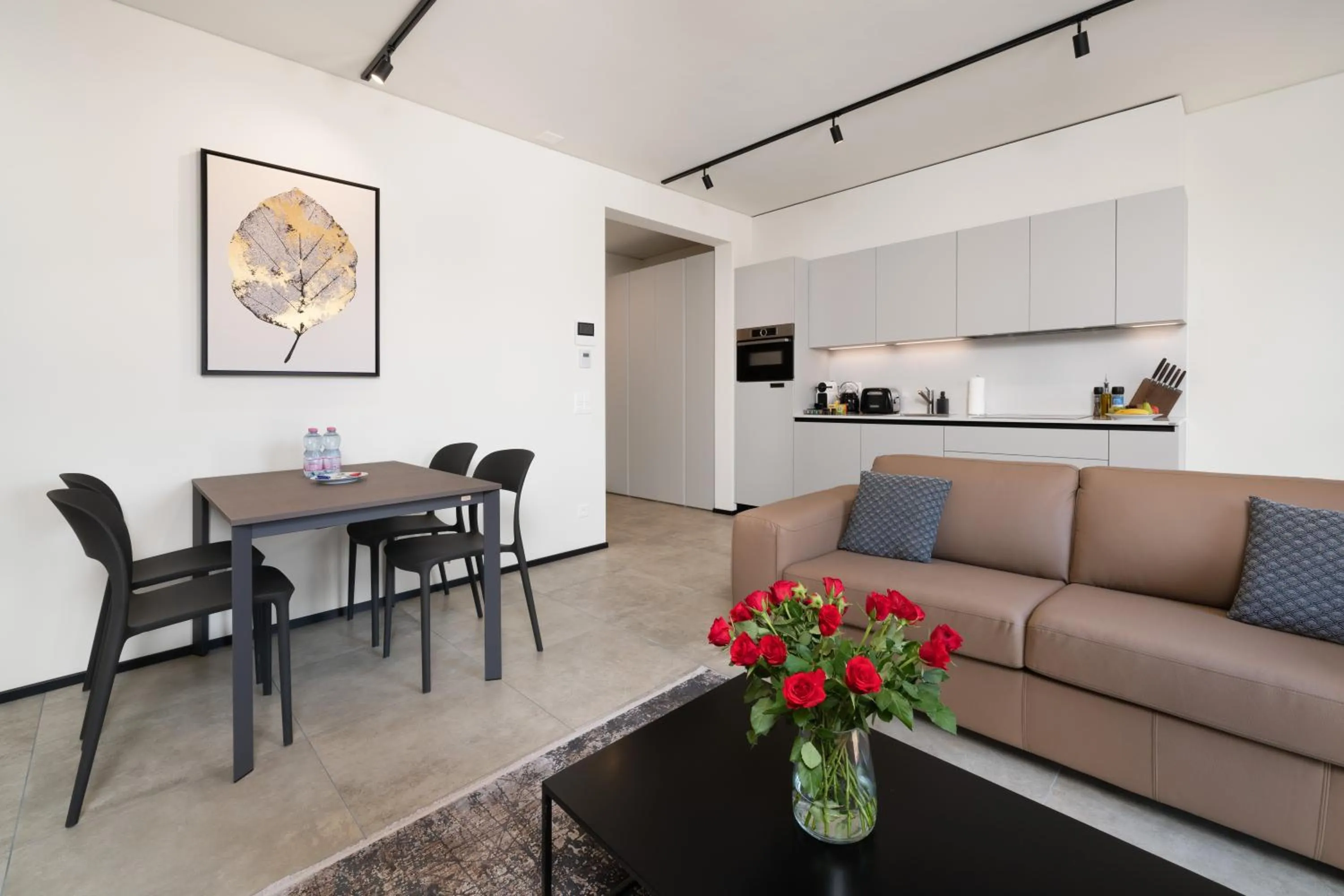 Kitchen or kitchenette in Swiss Hotel Apartments - Lugano