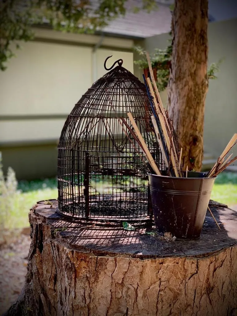 Garden in La Bastide de Barbizon