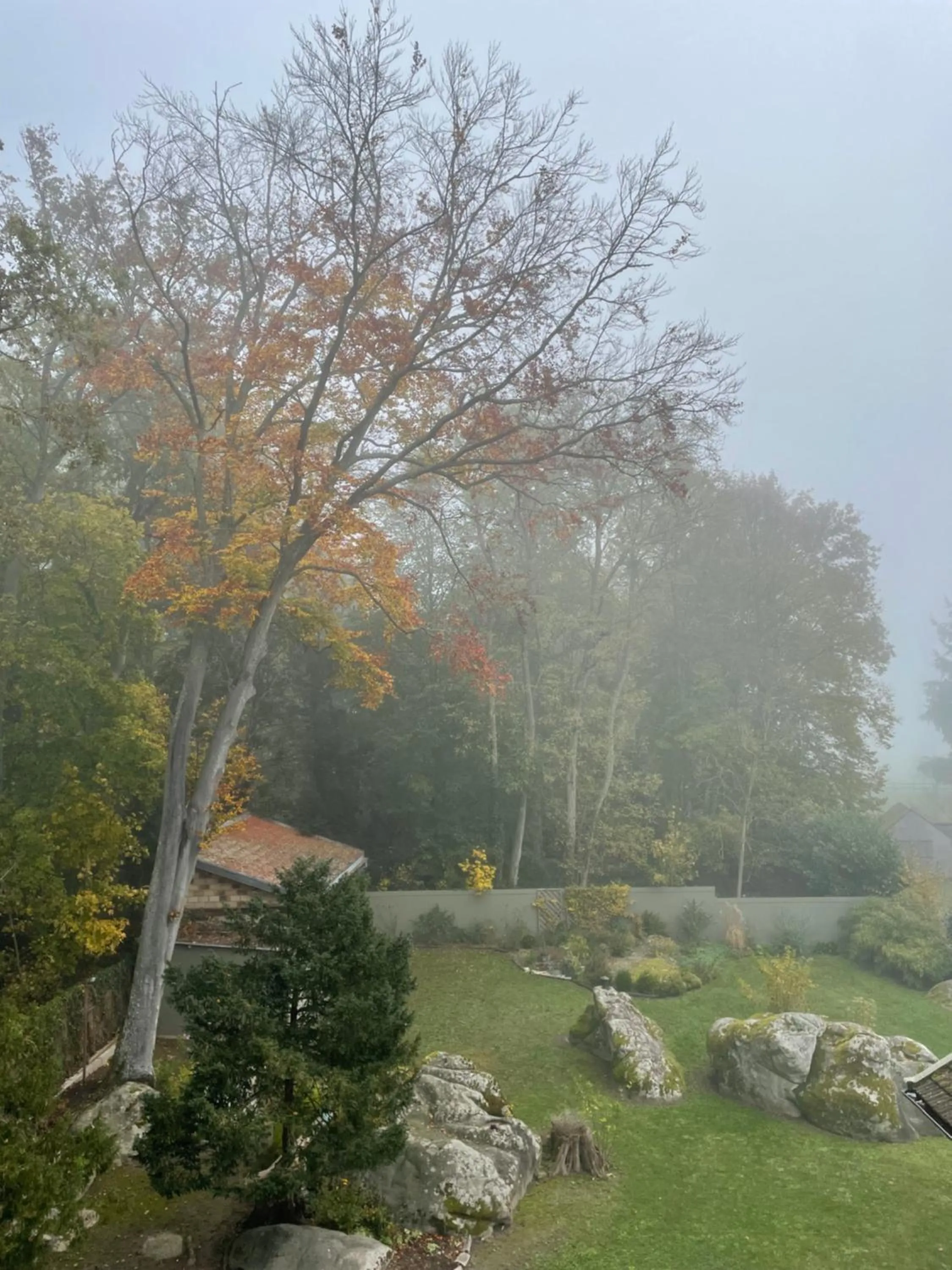 Garden in La Bastide de Barbizon