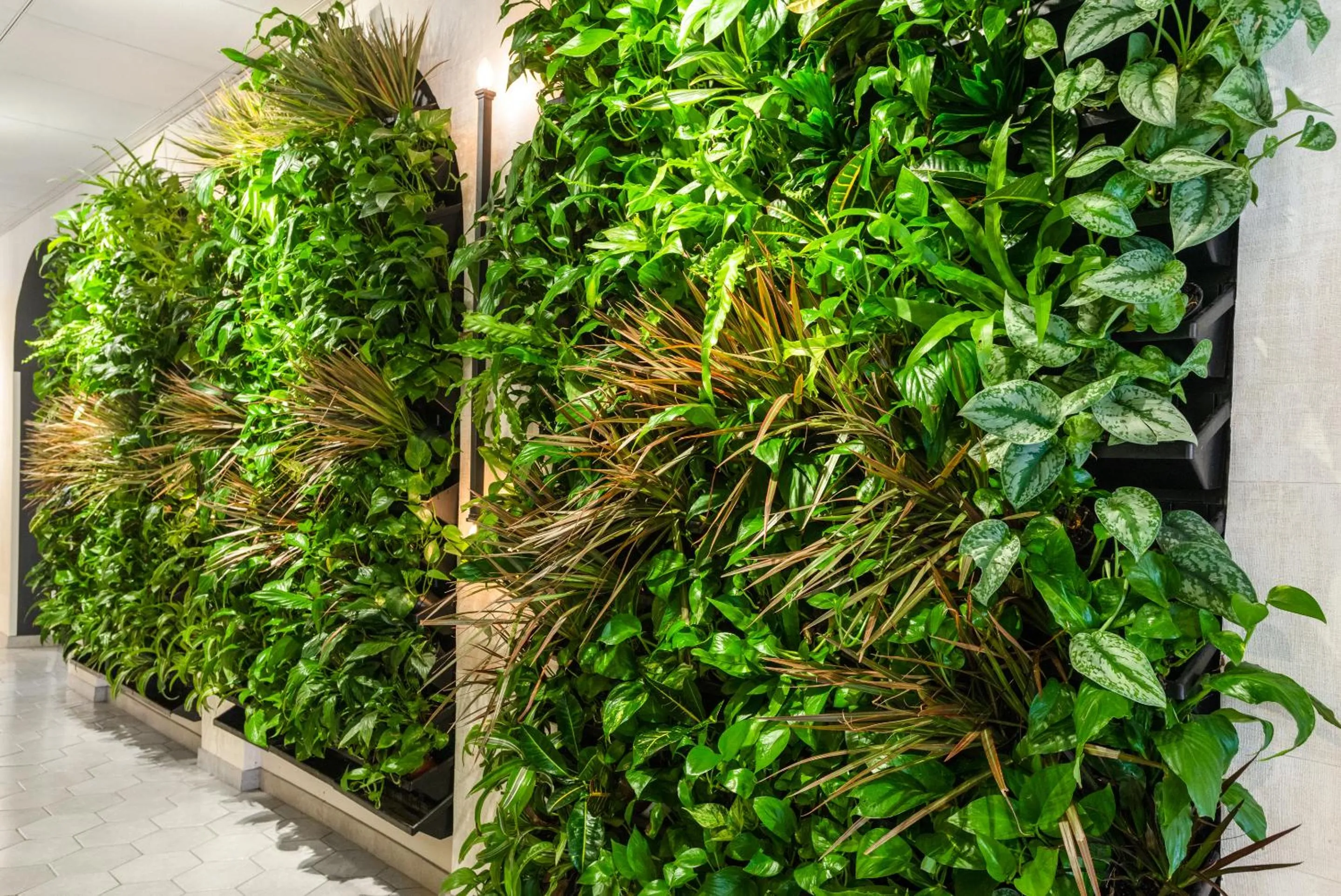 Lobby or reception in Riverwalk Plaza Hotel