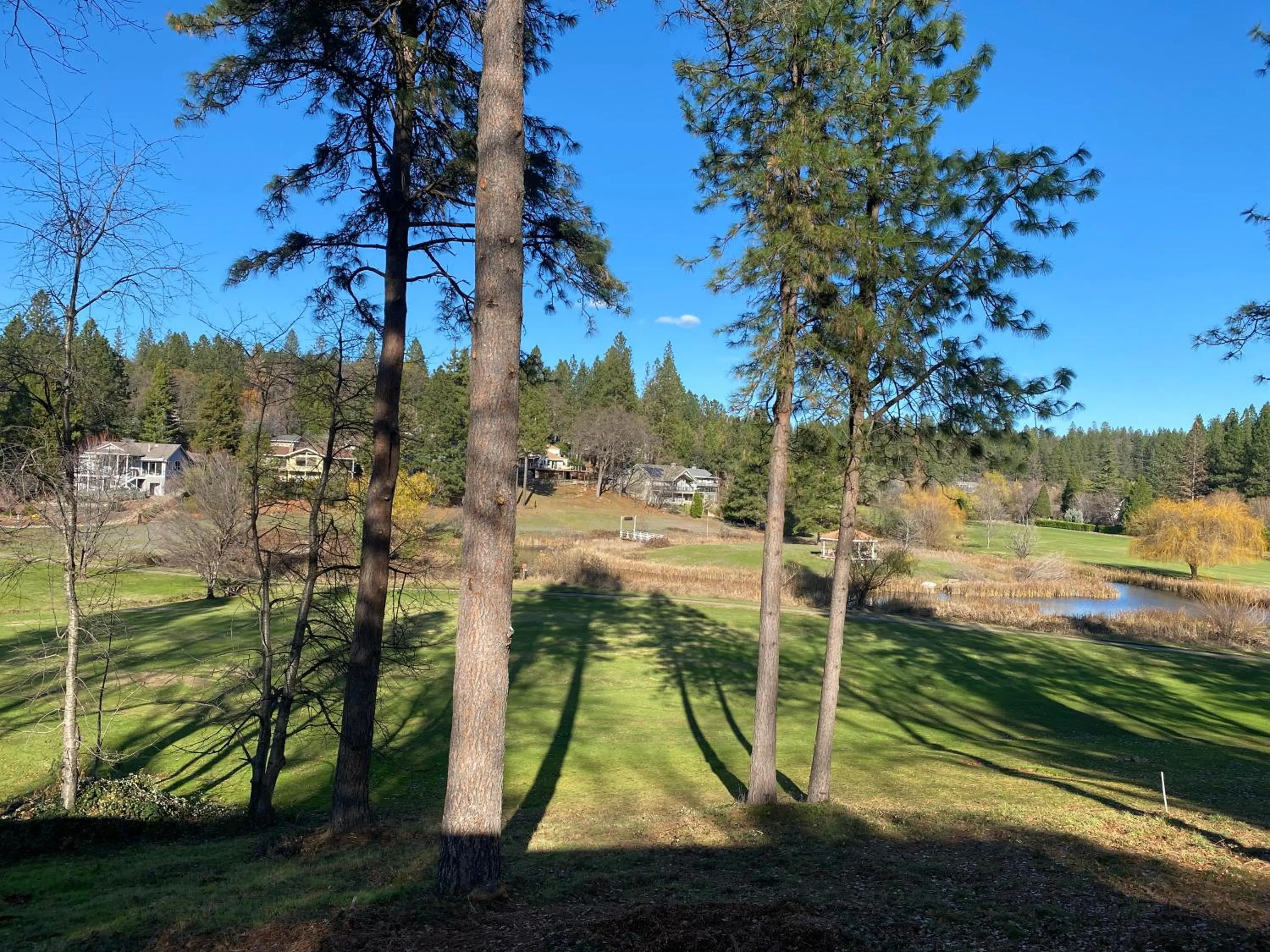 Alta Sierra Village Inn