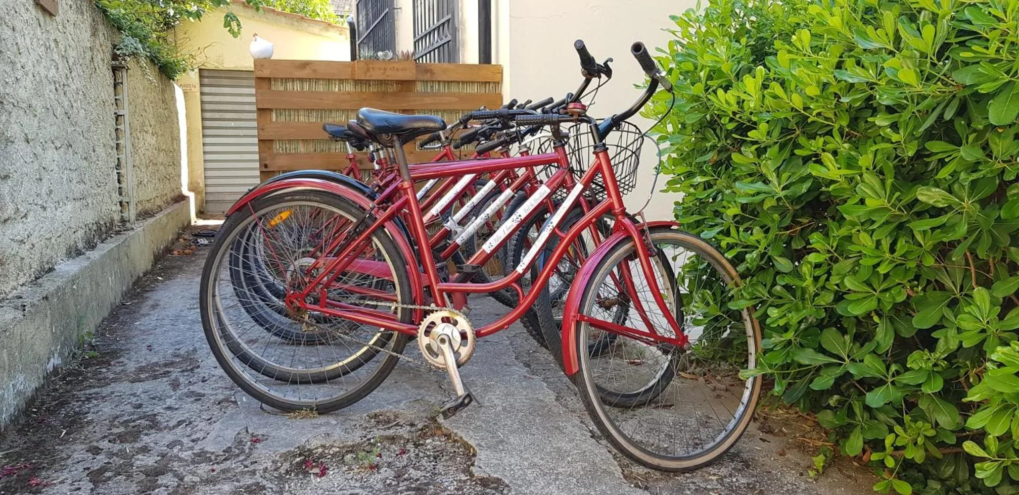 Cycling in Villa Noemi Bed&Breakfast